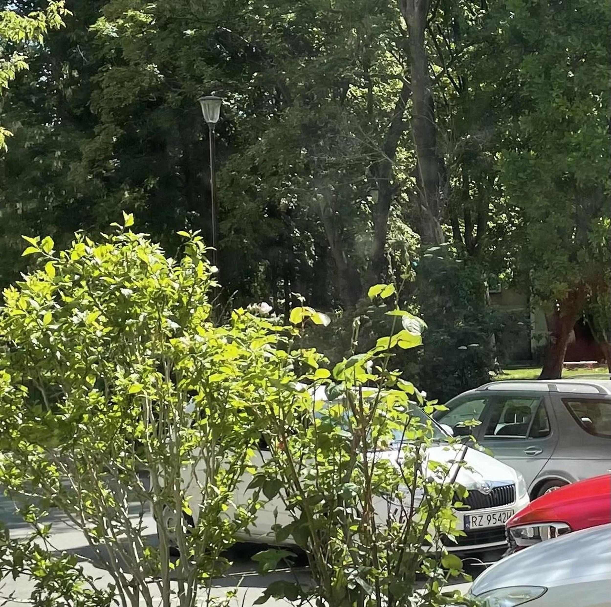 Jak już wjeżdżasz na prywatny parking pod blokiem to się chociaż naucz parkowaćXD bo stawanie równolegle do koperty na samym środku parkingu to raczej znak że gdzieś po drodze zgubiłeś mózg