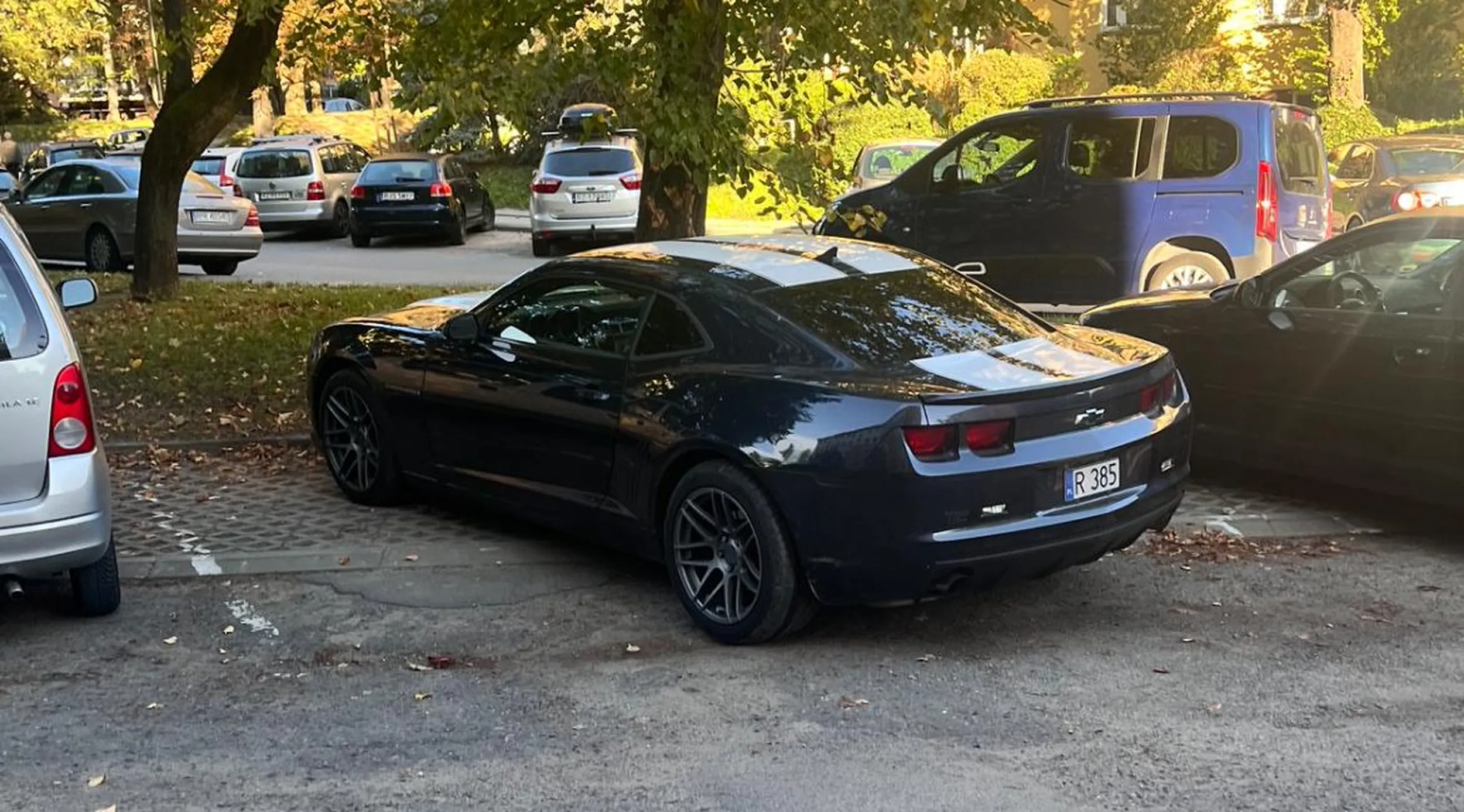 Naucz się parkować koleżko