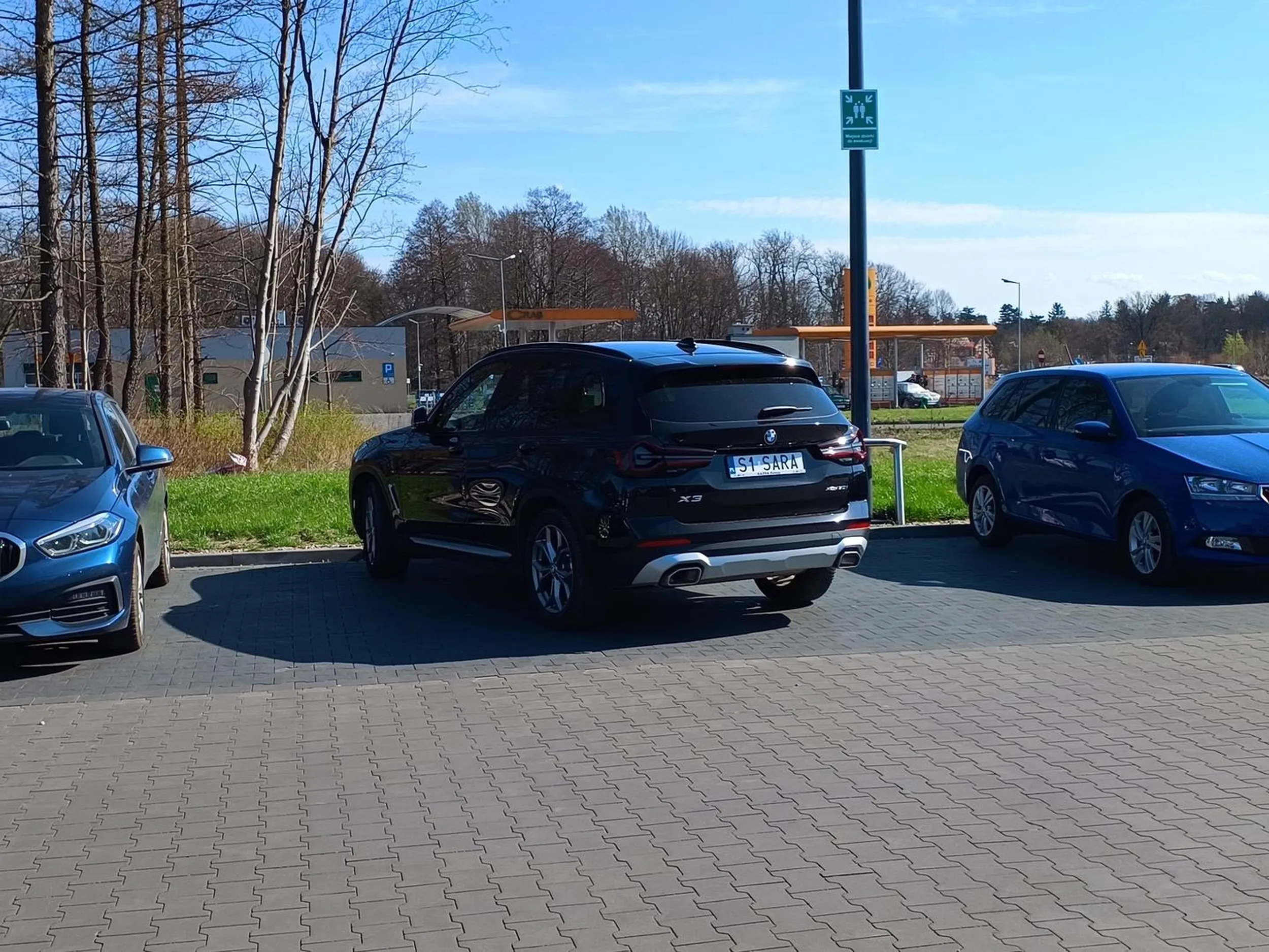 Mój wujek miał kiedyś psa Sarę. Poczciwe zwierzę, cześć jej pamięci [*]