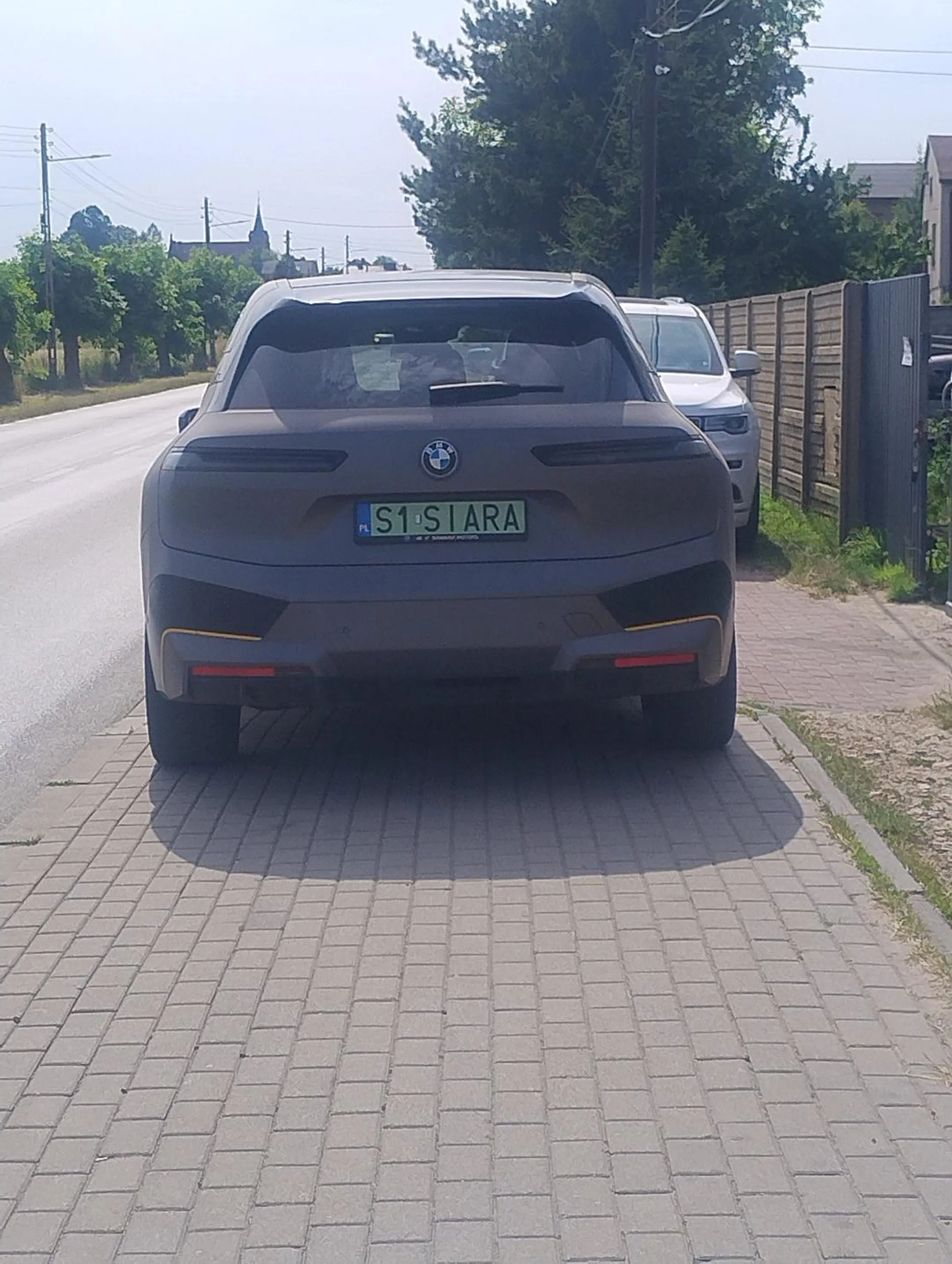 Staje na środku chodnika i nie ma przejazdu święta krowa się znalazła