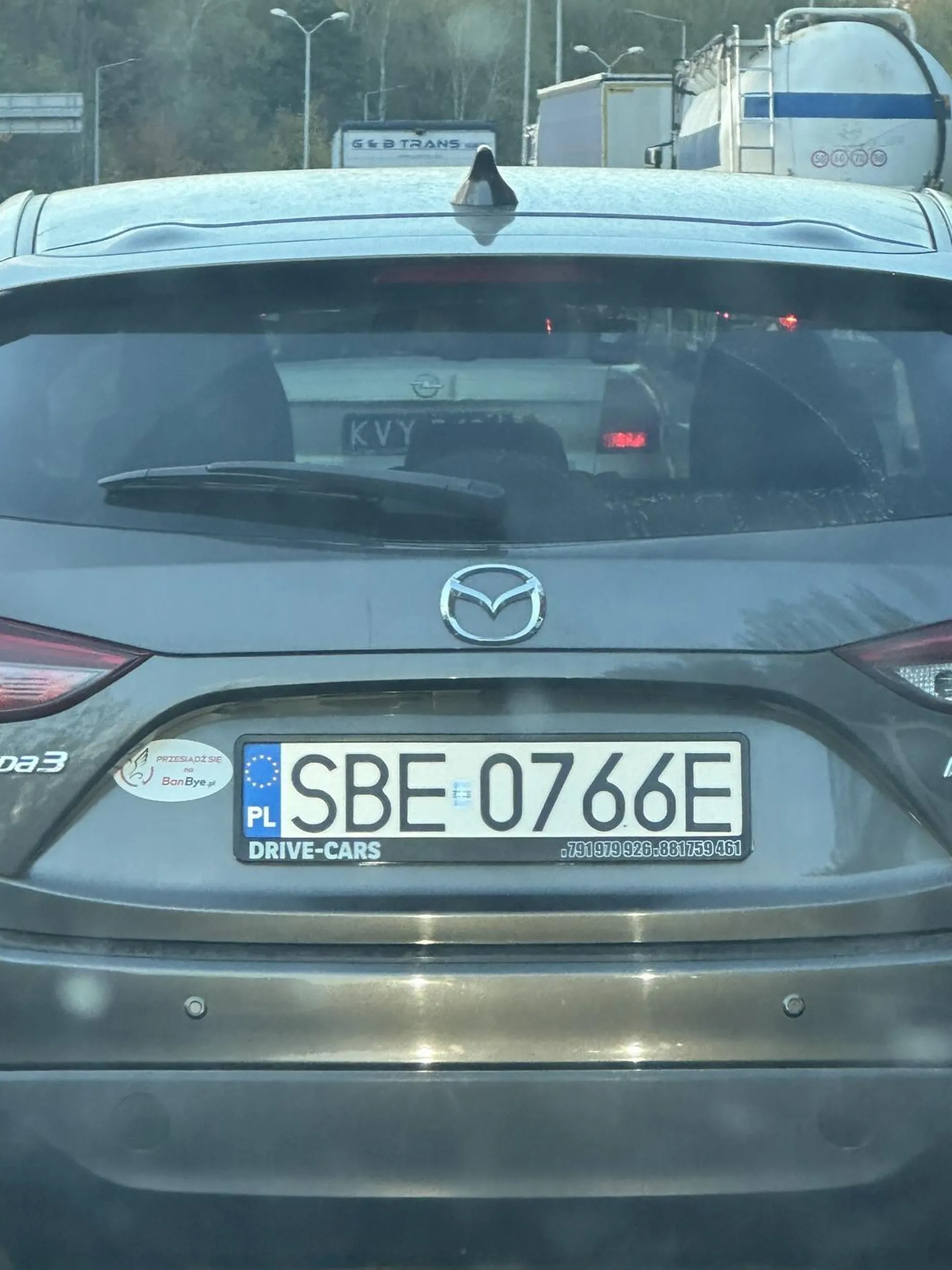 Uwaga szur ogląda marcina role