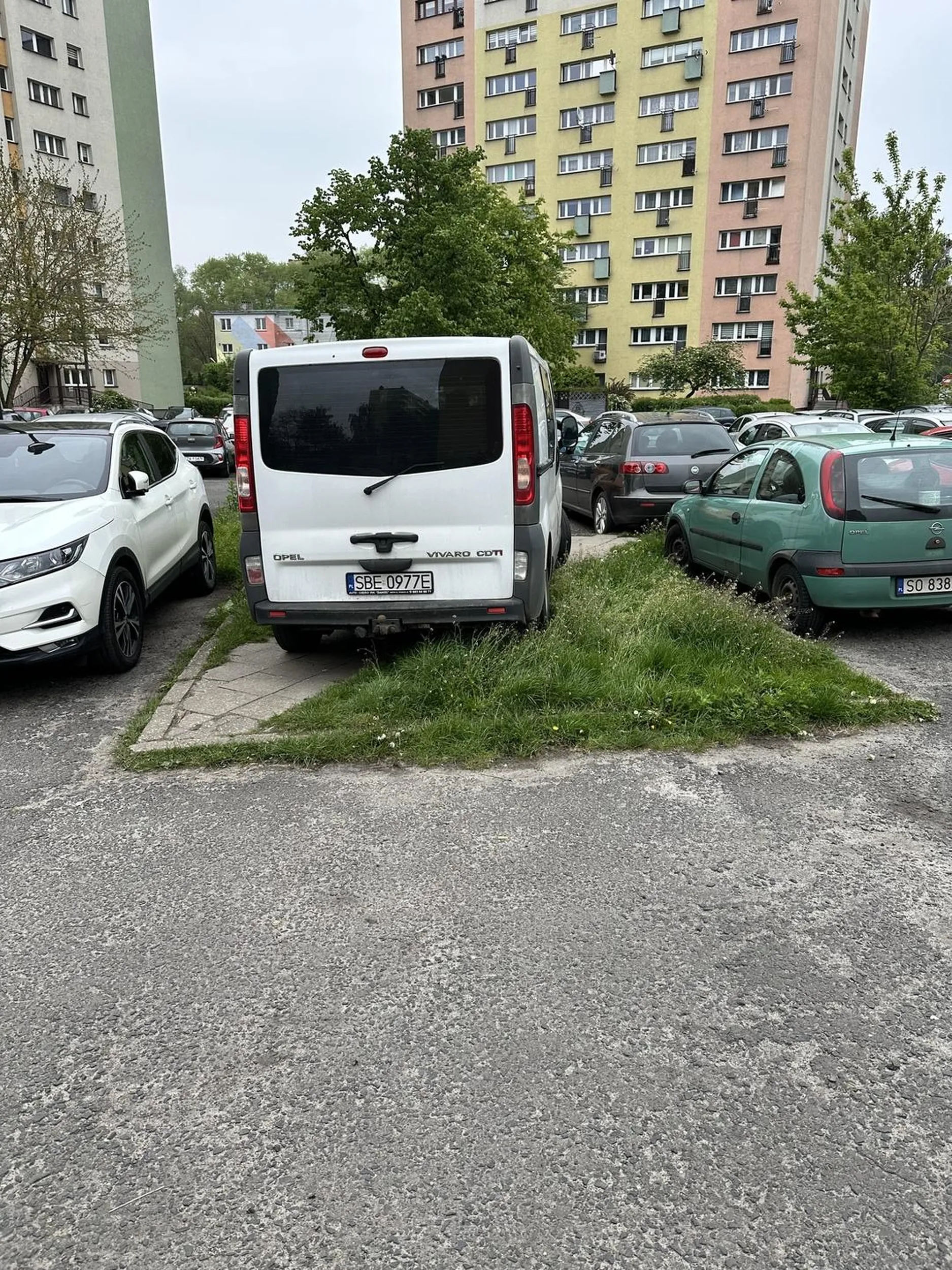 Chodnik bez możliwości przejścia. Dodatkowo trawnik.