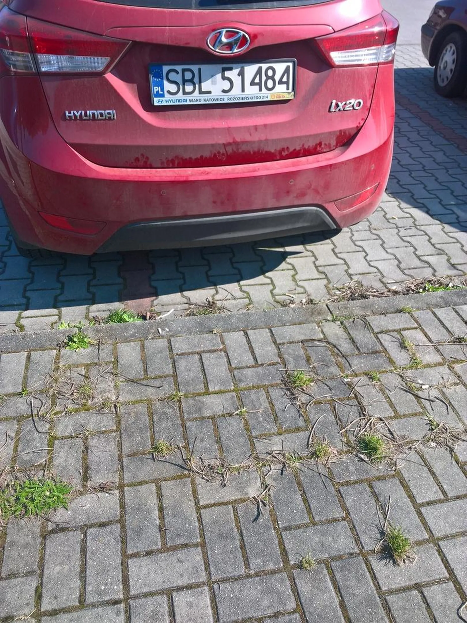 Obok next "miszcz" parkowania.  Inny przecież mnie nie obchodzą.