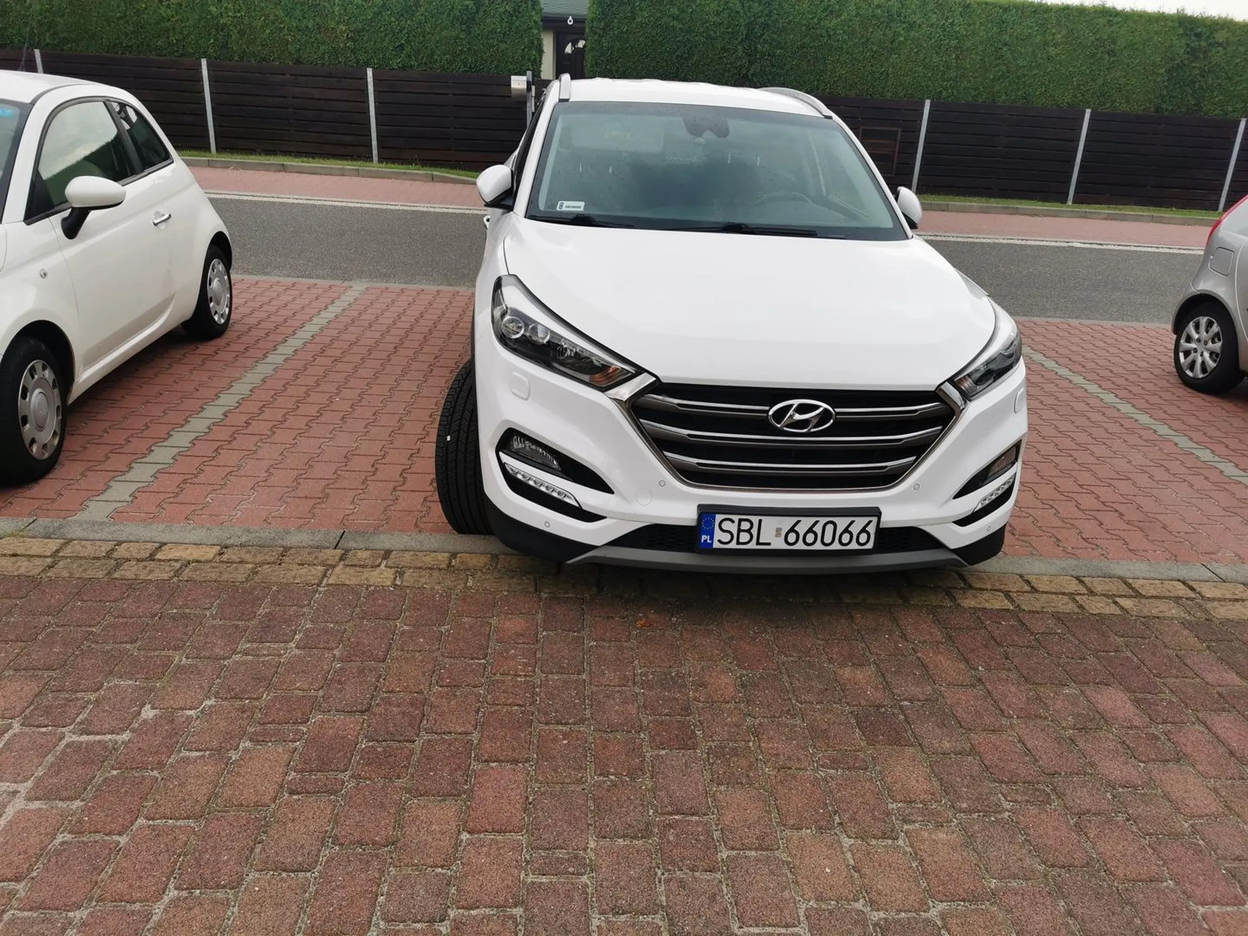 Jeśli nie umiesz parkować w liniach to przesiądź się na rower