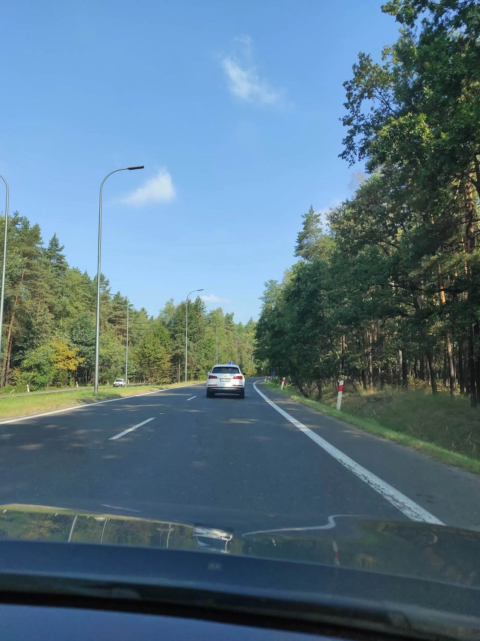 Król prostej do tego burak