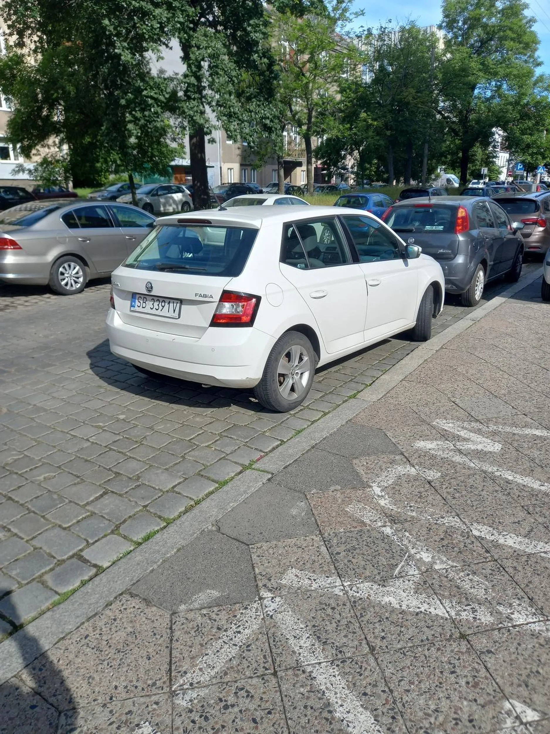 Święta krowa zastawia wyraźnie zaznaczony wjazd na posesję.