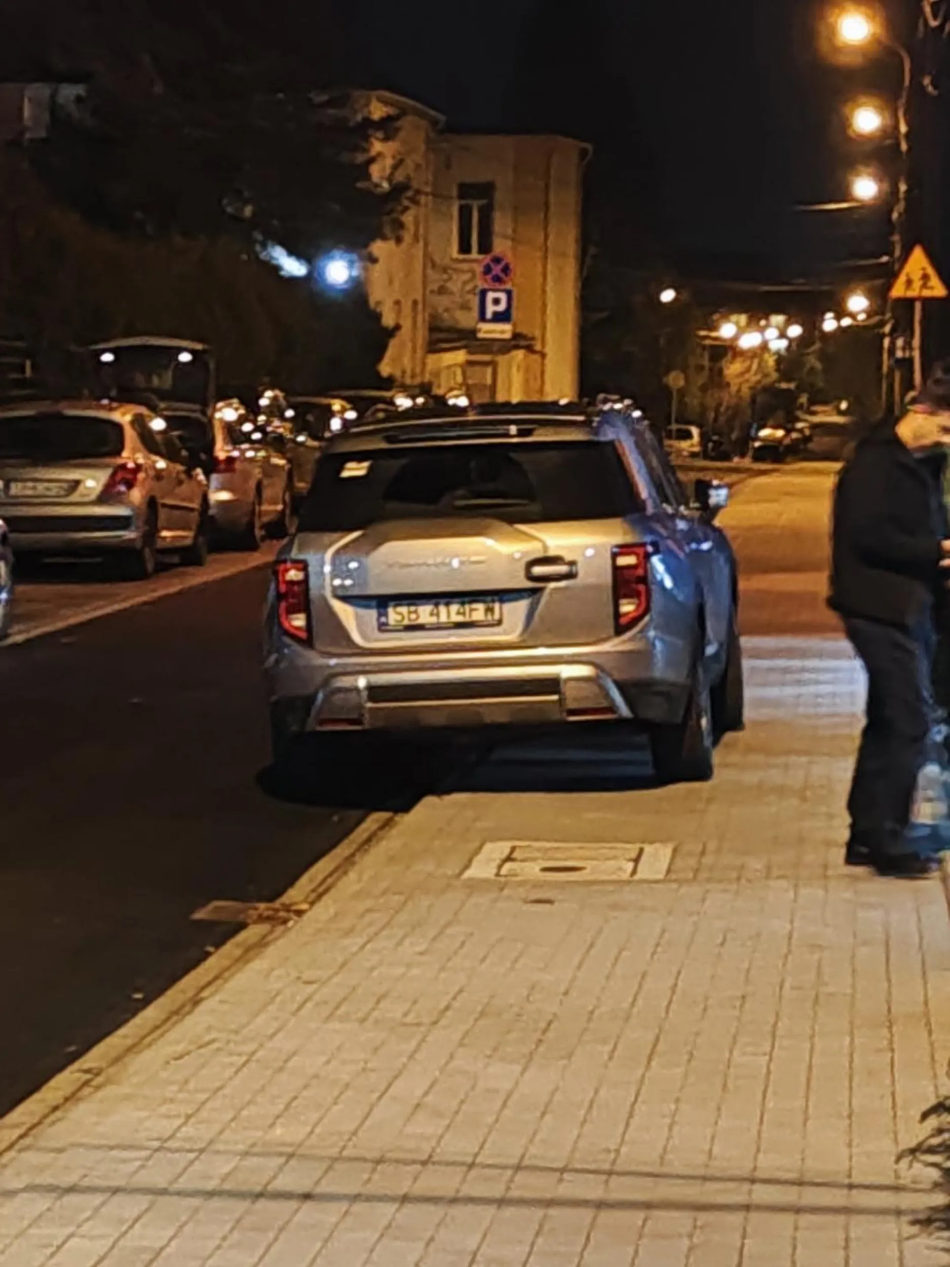 Człowieku, dosłownie po drugiej stronie ulicy miałeś wolne miejsca na darmowym parkingu.