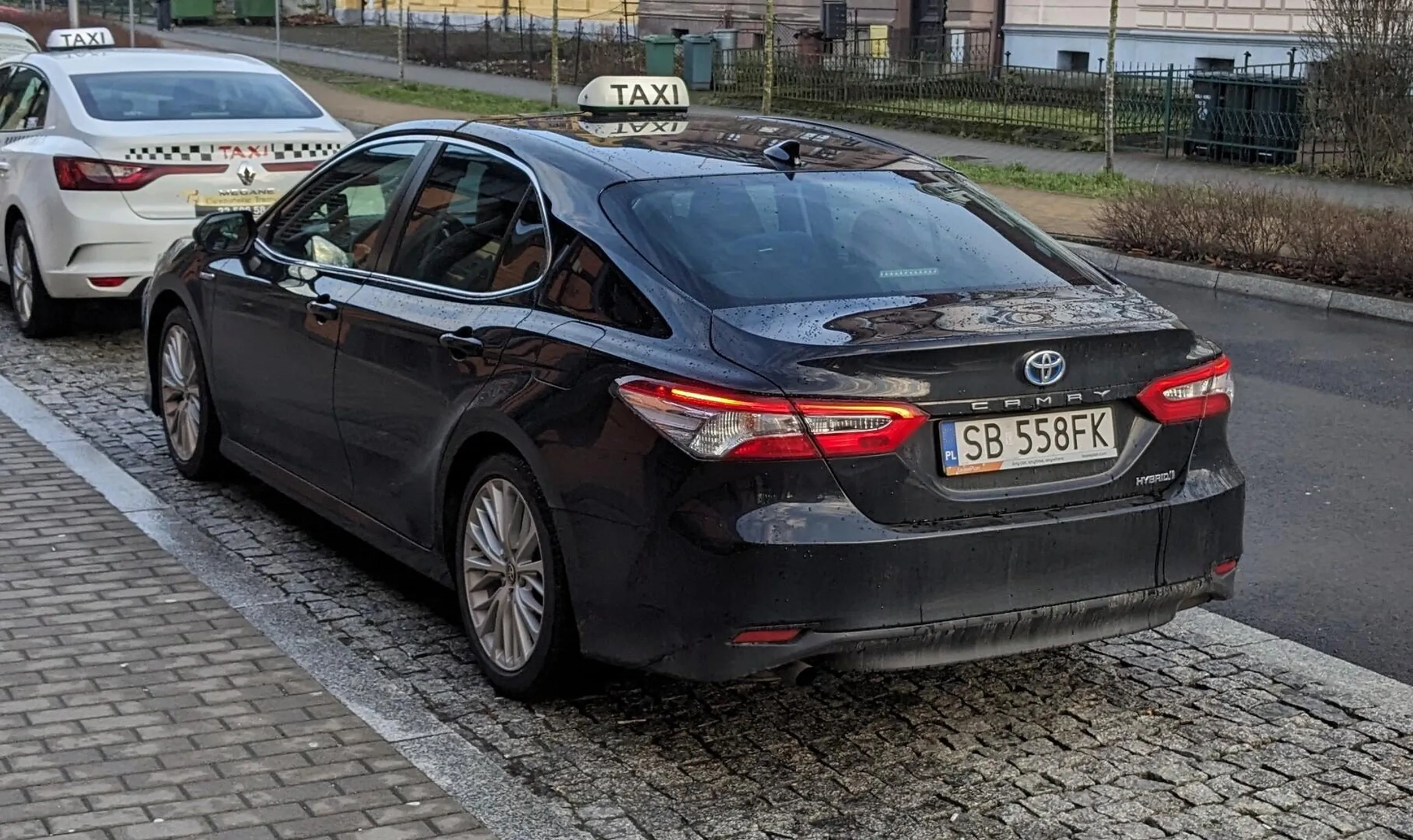 Najważniejszy Kierowca w Cieszynie, trąbi przynajmniej 4 razy na samochód ustępujący pierwszeństwa pieszym na przejściu przy Steli. Nie miał pasażera, ale bardzo mu się spieszyło aby zaparkować na parkingu dla taksówek przy dworcu, ledwo 100 metrów dalej.