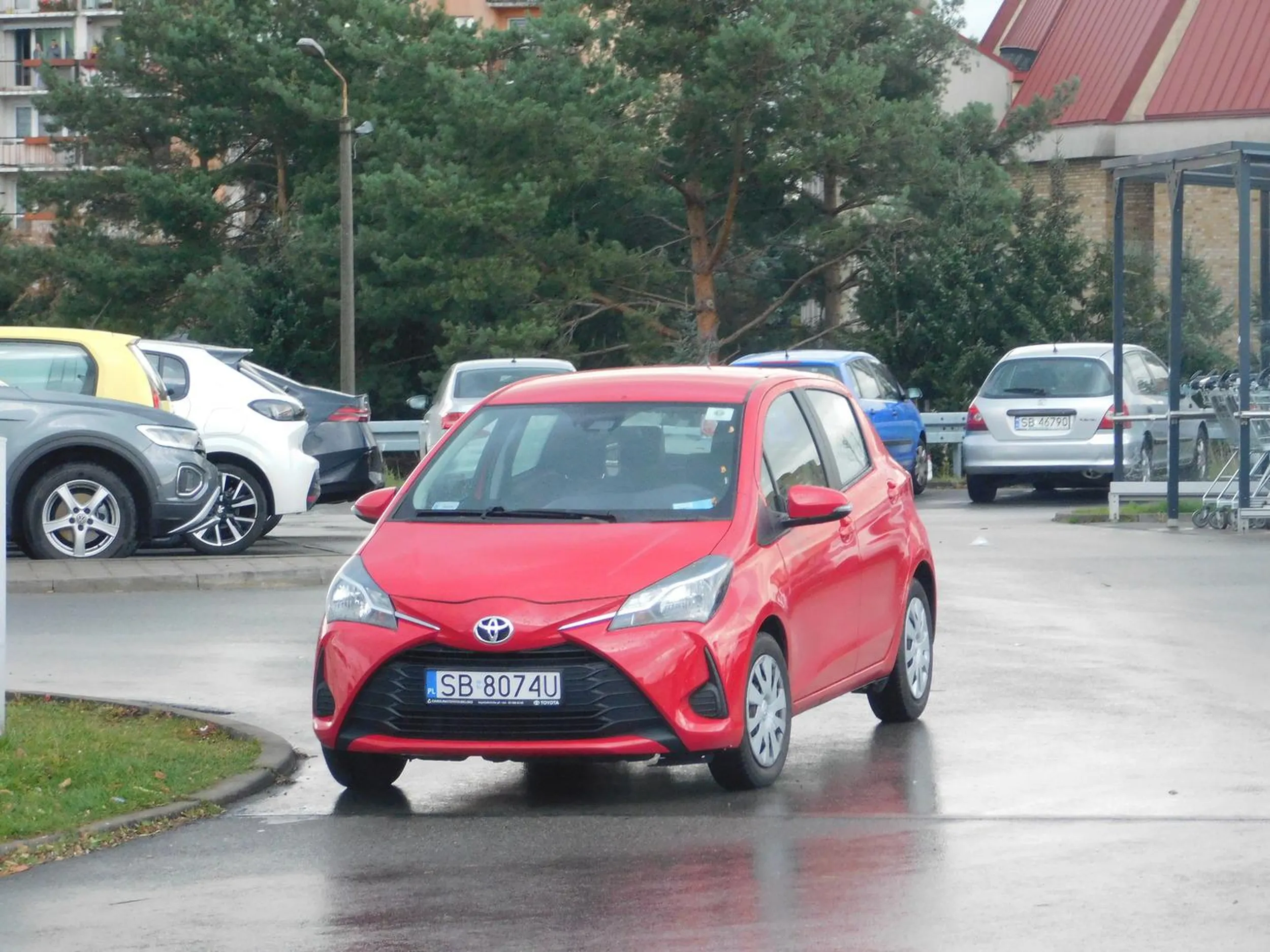 stanął jak tuman na środku drogi niepełnosprawność nie wyklucza z myślenia