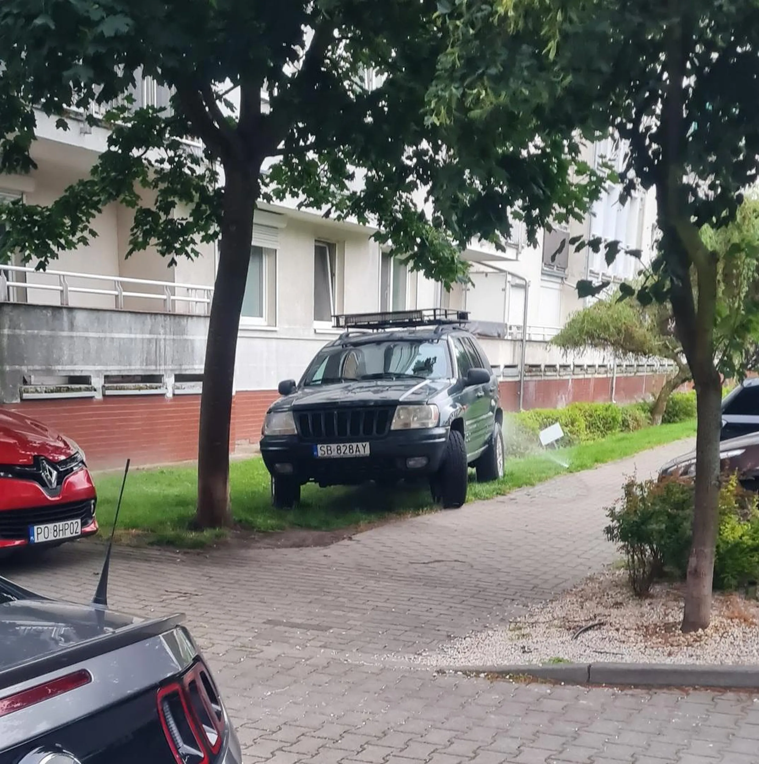 No chyba Ci się przepalił sznurek trzymający uszy. Jeszcze wjedź do mieszkania. (osiedle Saperska, Poznań)