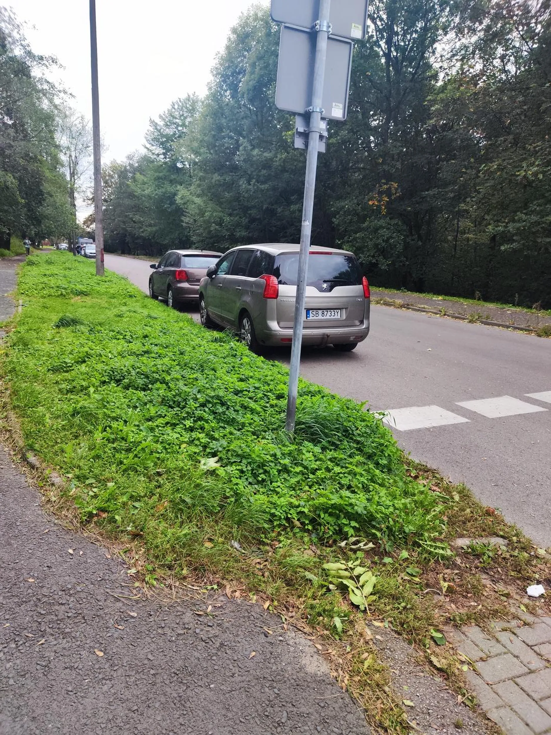 Tak na przyszłość: na drodze dwukierunkowej nie możesz parkować na odległość mniejszej niż 10 m od przejścia dla pieszych.