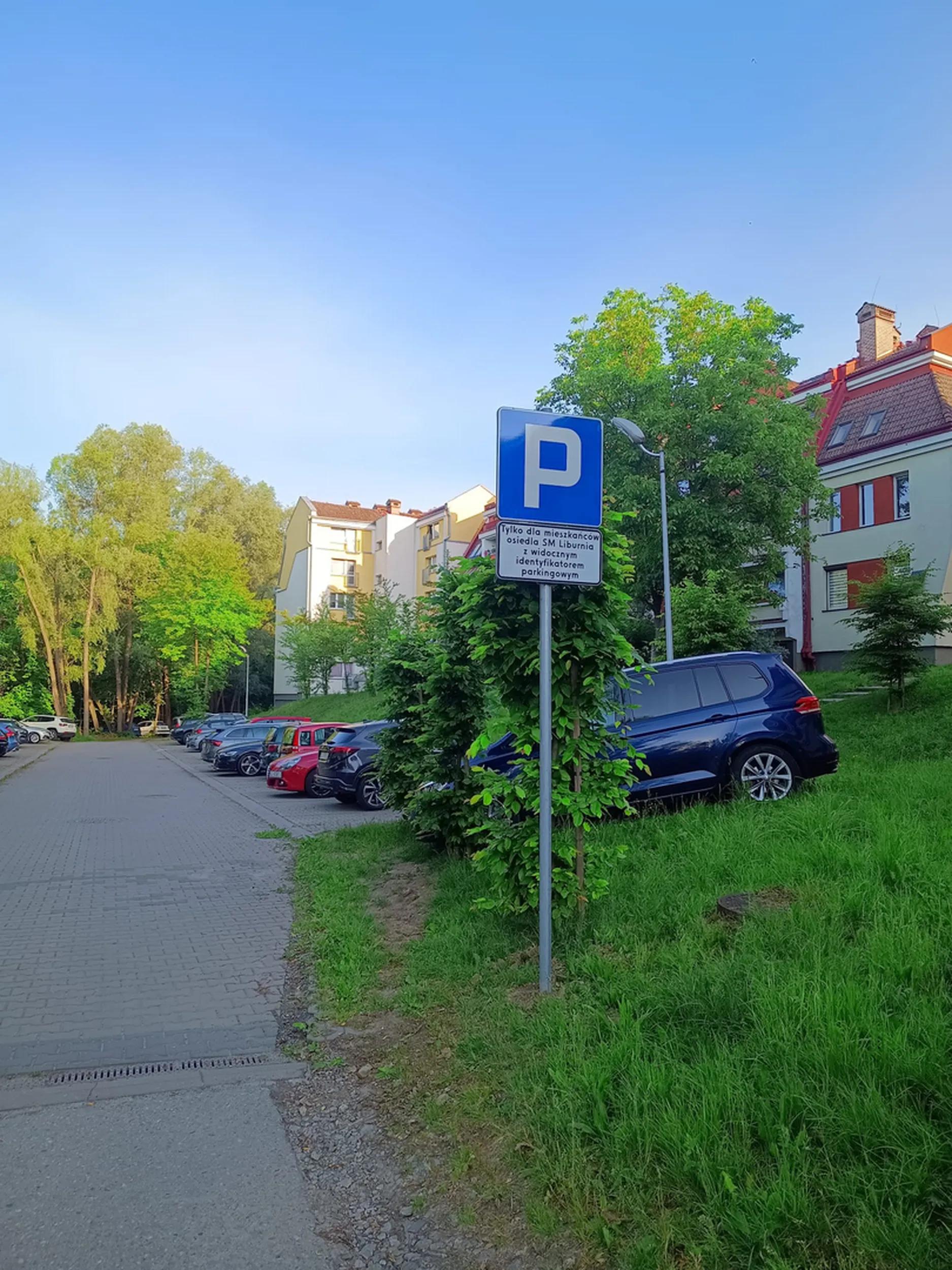 Istny MISZCZ parkowania