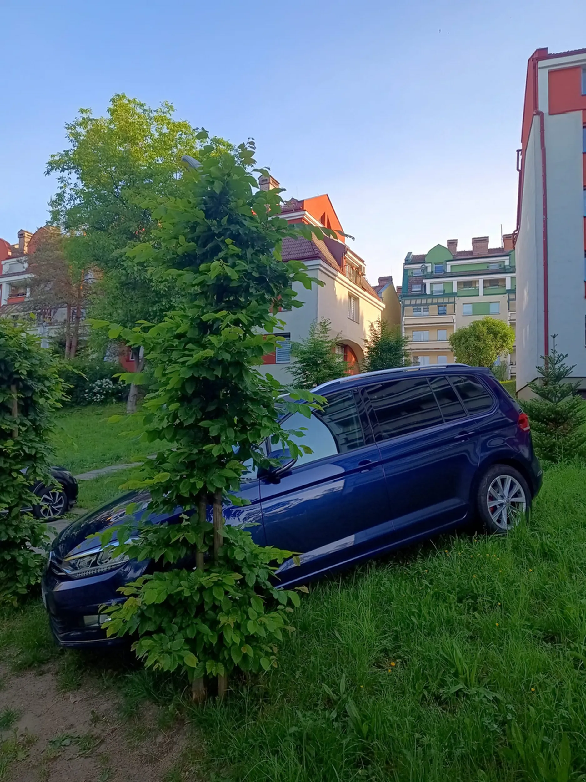 Istny MISZCZ parkowania