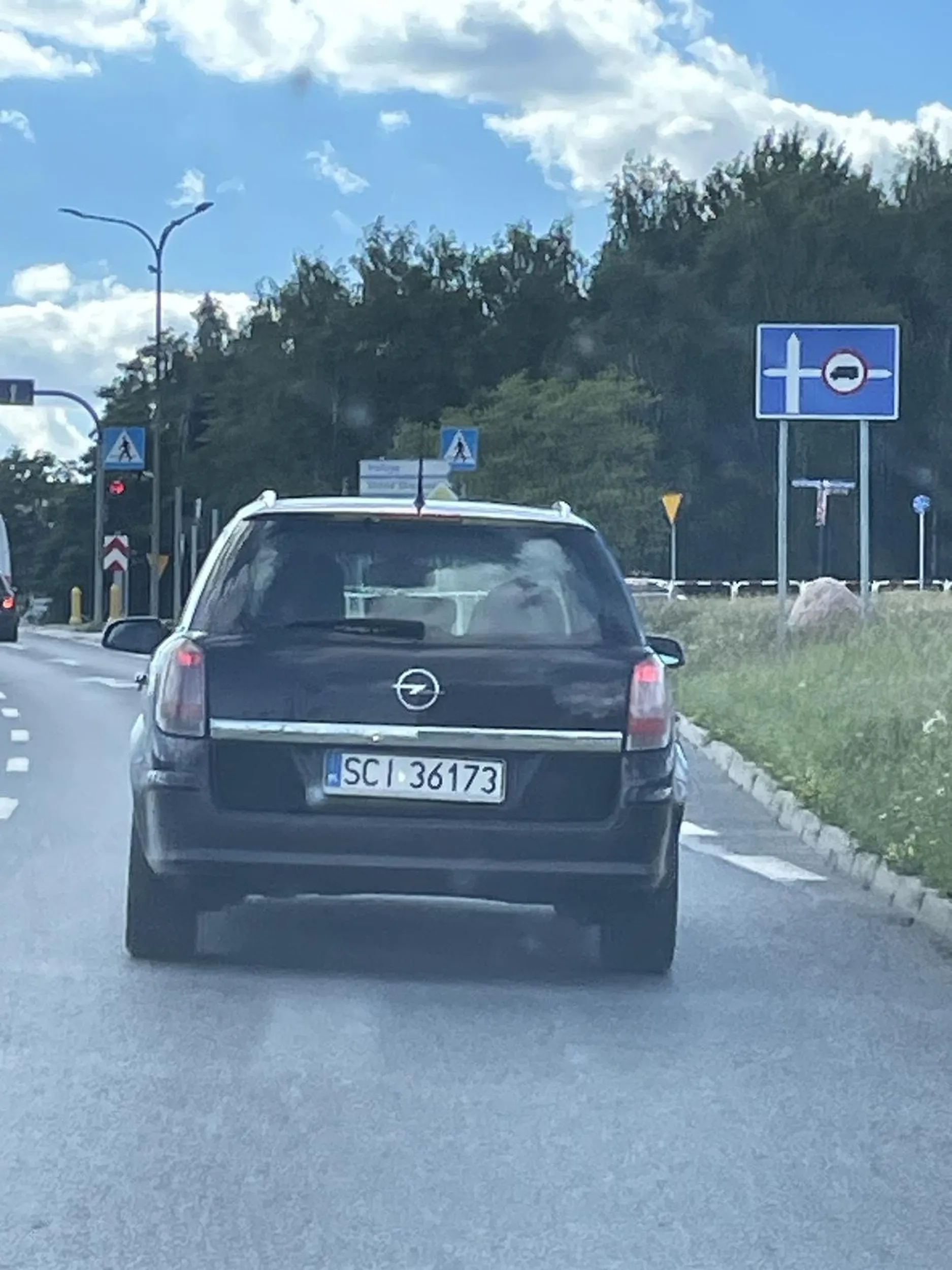 Patologia wyrzuca puszki przez okno, bezmózgie karki, które szukają zaczepki