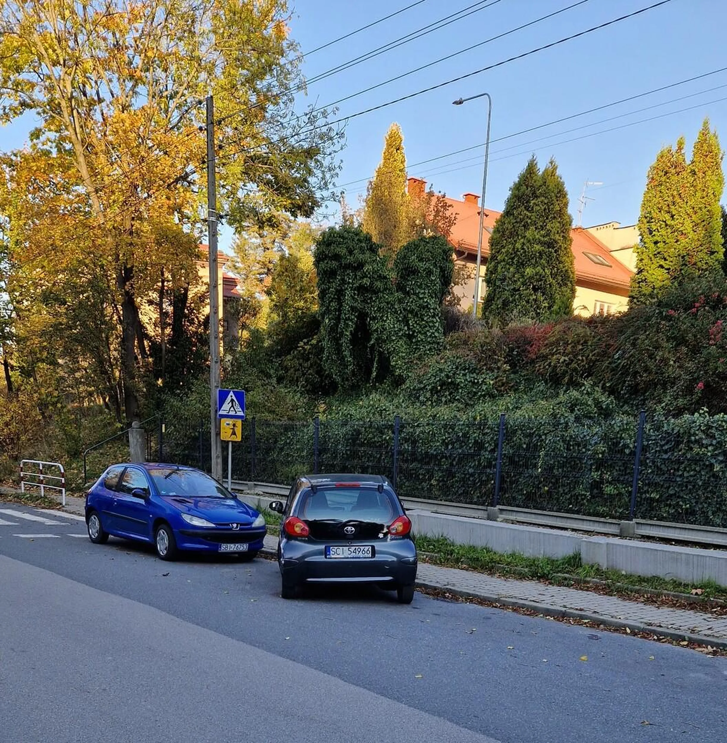 Kwiatuszek na bagażniku trochę wyjaśnia