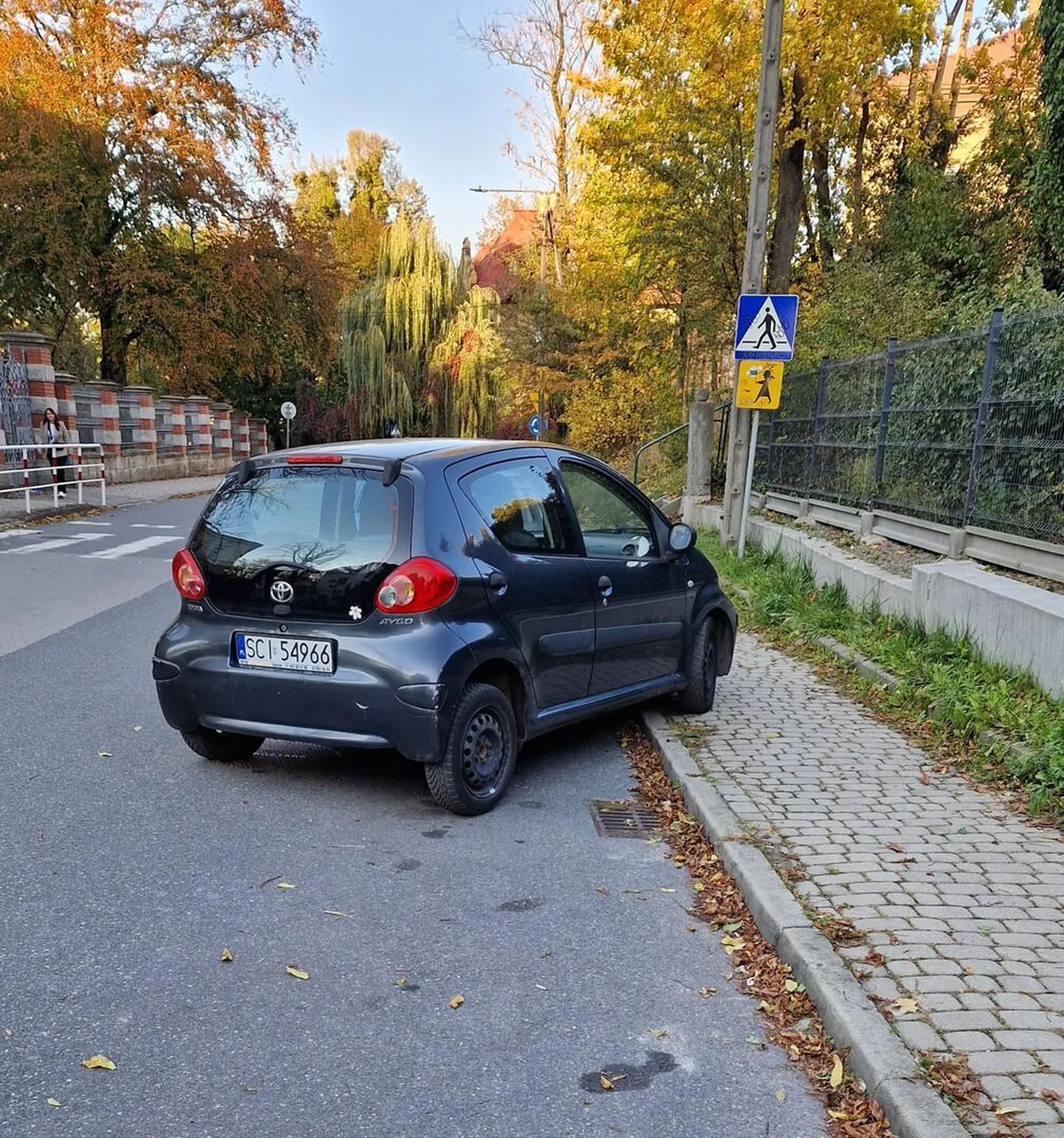 Kwiatuszek na bagażniku trochę wyjaśnia
