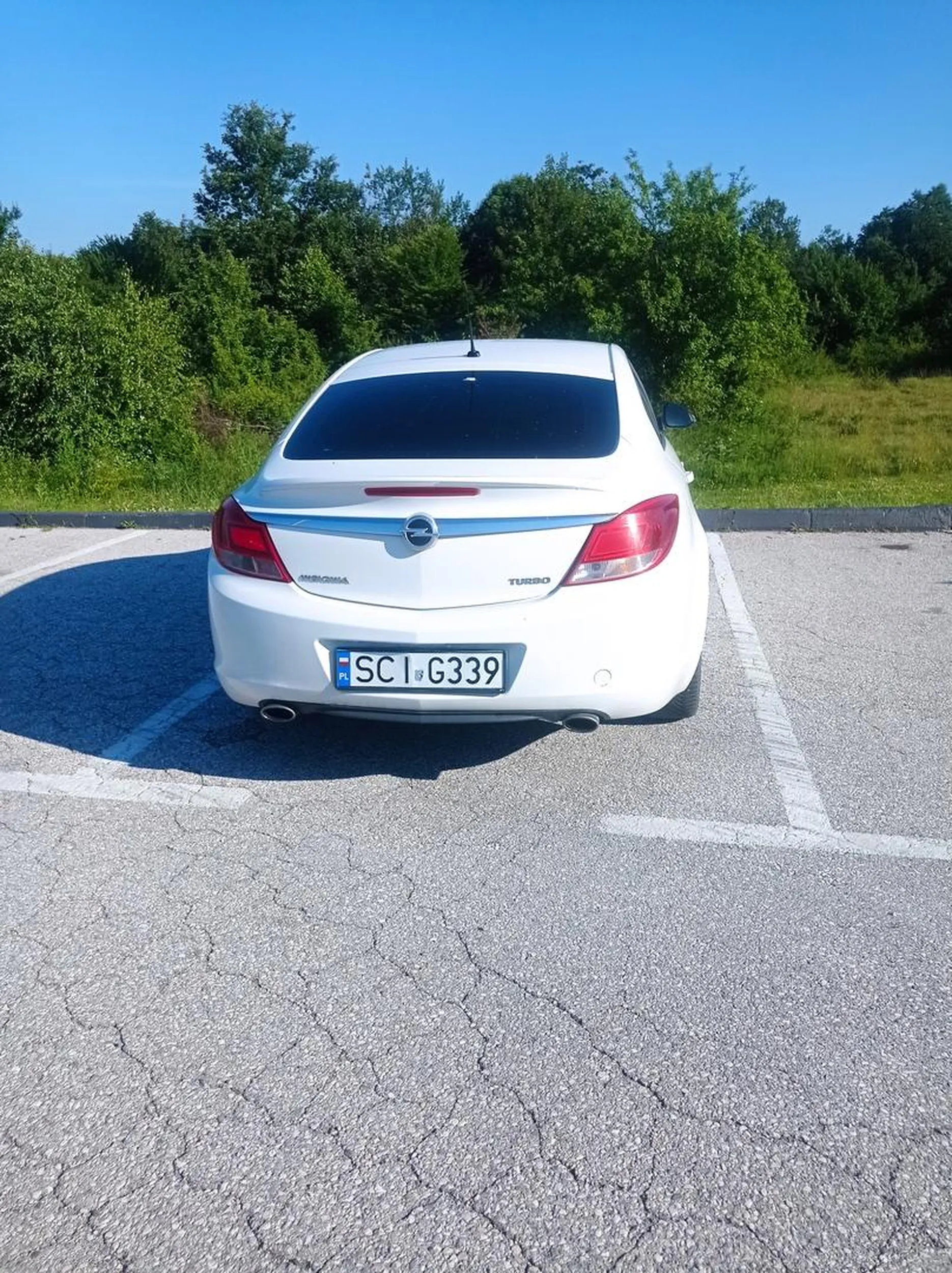 Weź to zabierz z chorwacji bo wstyd nam robisz