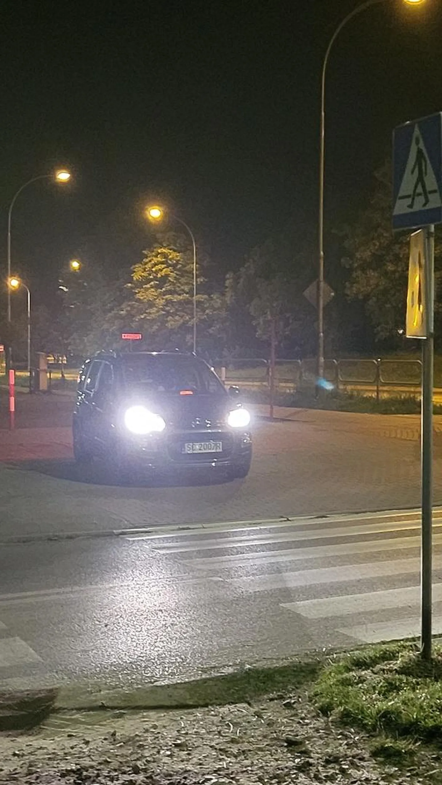 legenda glosi ze ten kierowca dalej czeka na zielone na pasach