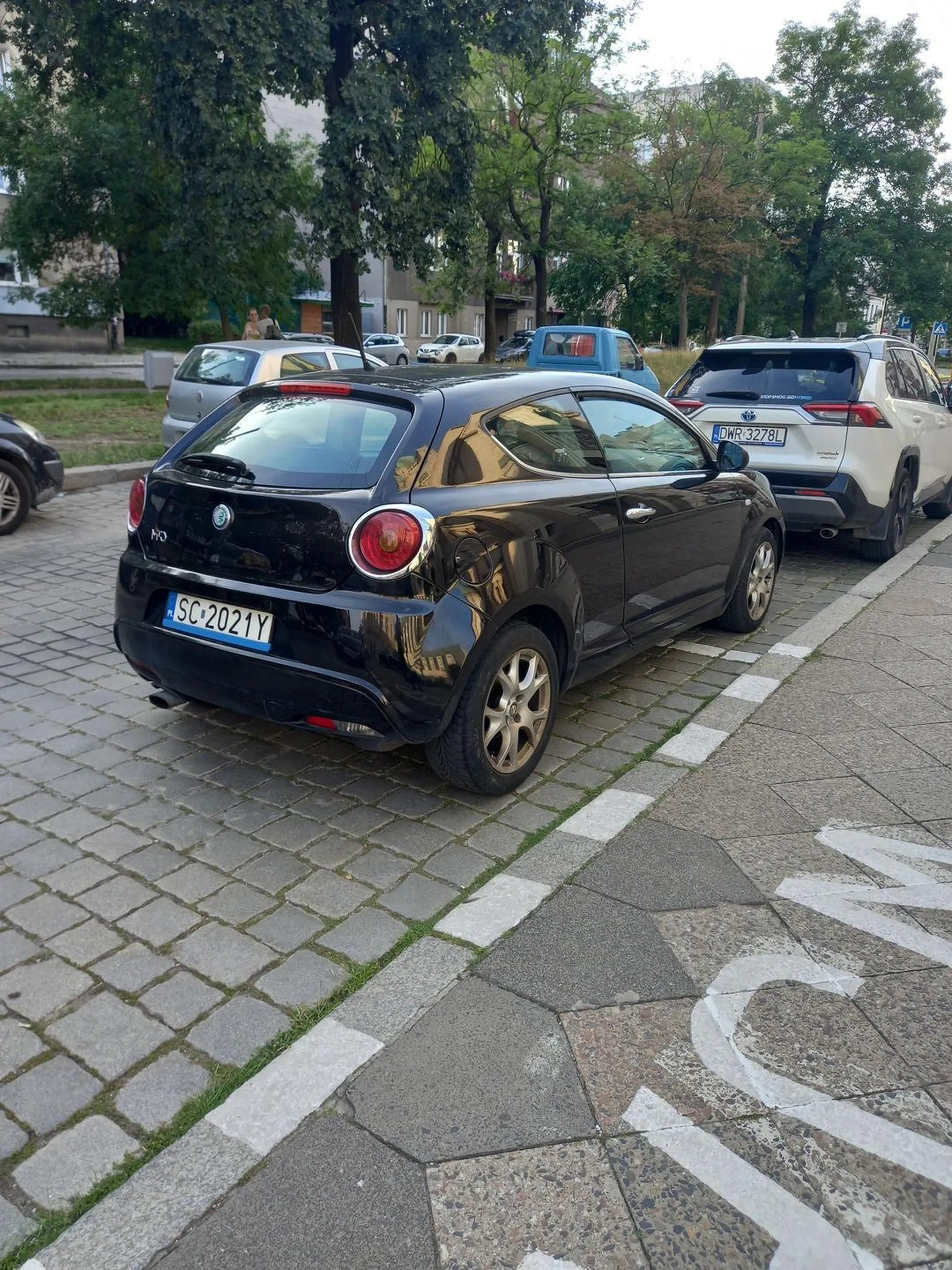 Burak zastawia wjazd