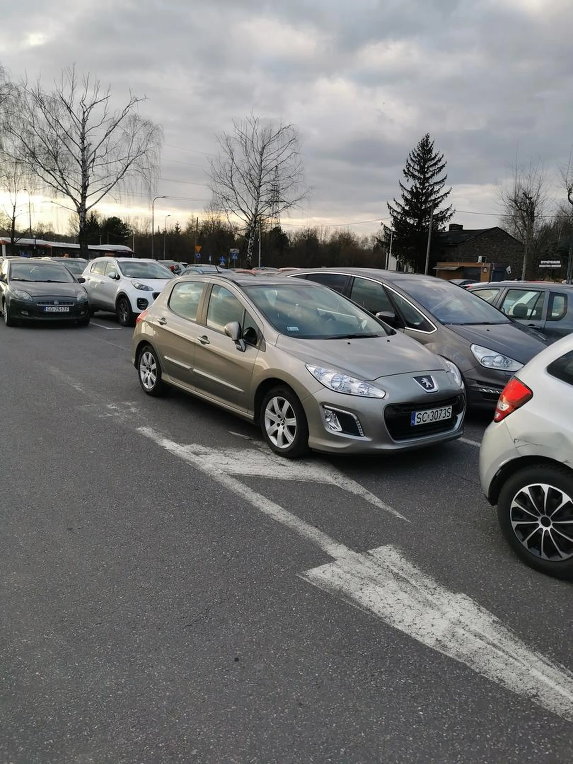 Parking cały zajęty, a to sobie stanę na drodze! Bo mogę!