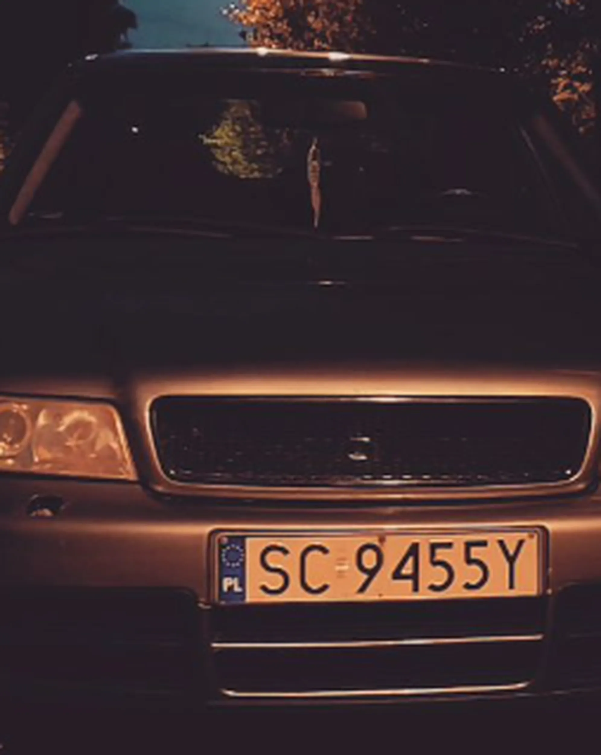 luuudzie dajcie spokoj ten czlowiek jest jakis chory i prawo jazdy wygral chyba w chipsach dojrze ze nie przepuścil mnie na pasach to jeszcze sie wykłucał ze wchodze bez patrzenia i prawie przejechał mojego syna uważajcie na niego bo to naprawde niebezpieczny człowiek. na dole załączam zdjęcie które znalazłam po rejestracji na pana instagramie pozdrawiam wszystkich czytających a pana z audi prosze nastepnym razem o większą kulture i uwagę na drodze.