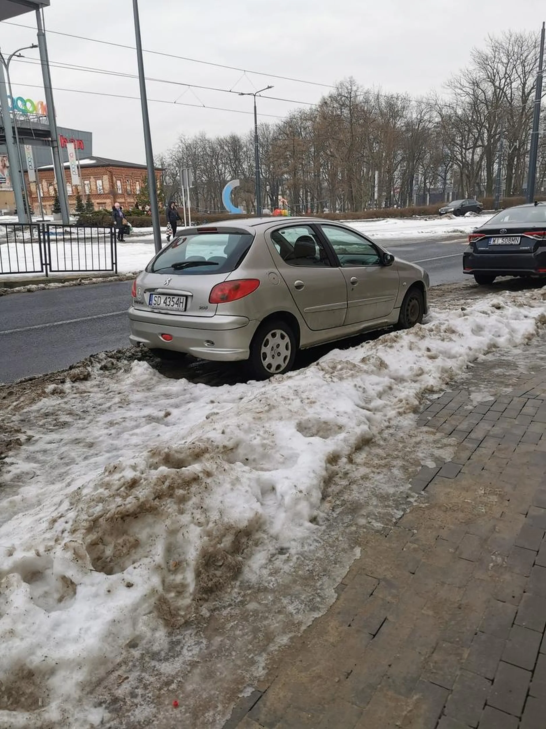 Na środku drogi rowerowej!