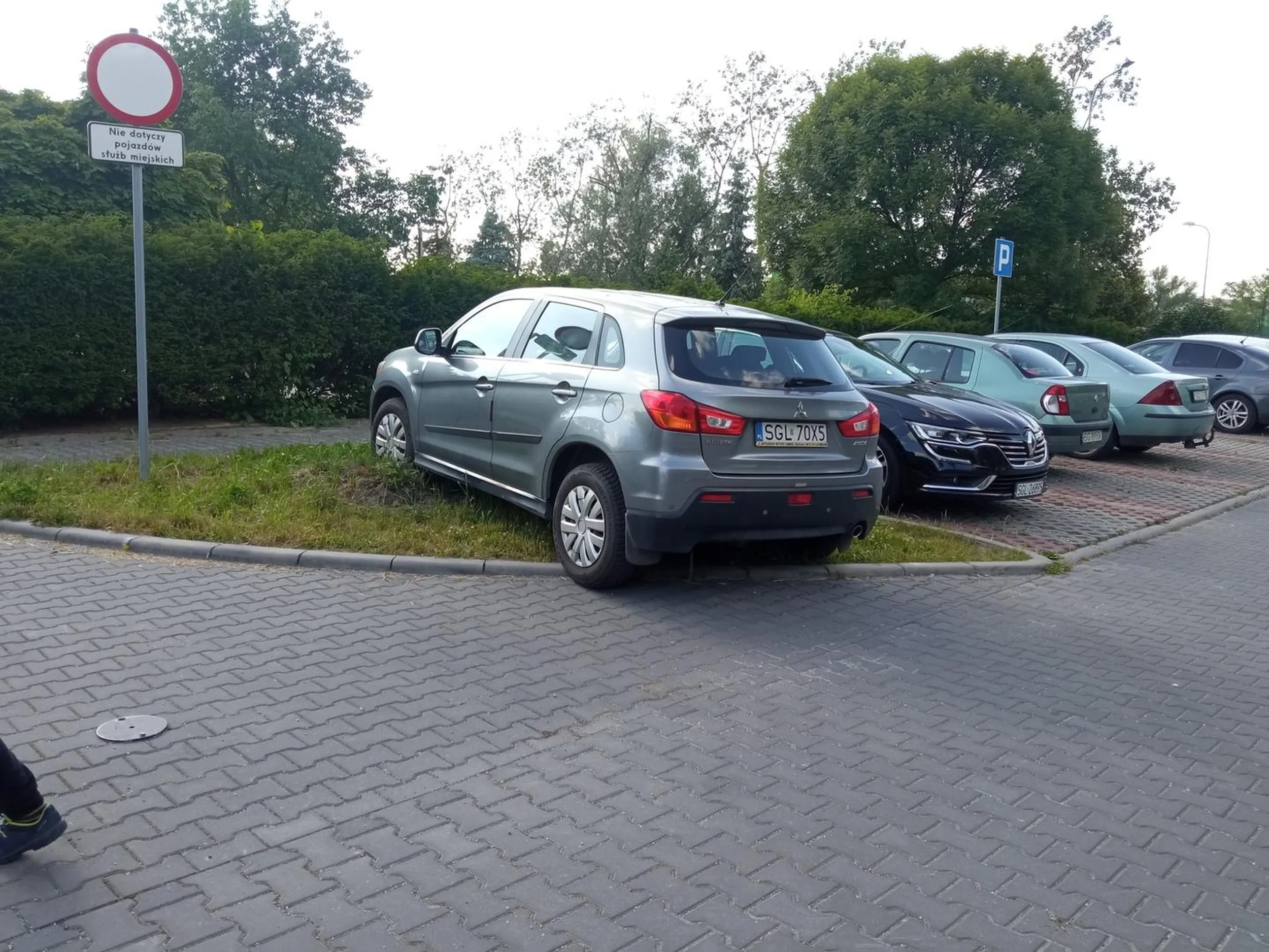 Co z tego że trawnik, przecież mam suva. A dalej nie stanę, bo nóżki się zmęczą.