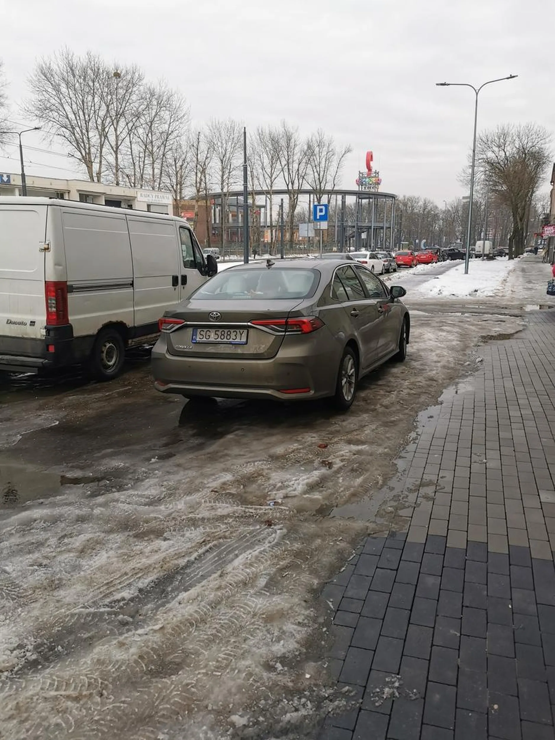 Na środku drogi rowerowej!