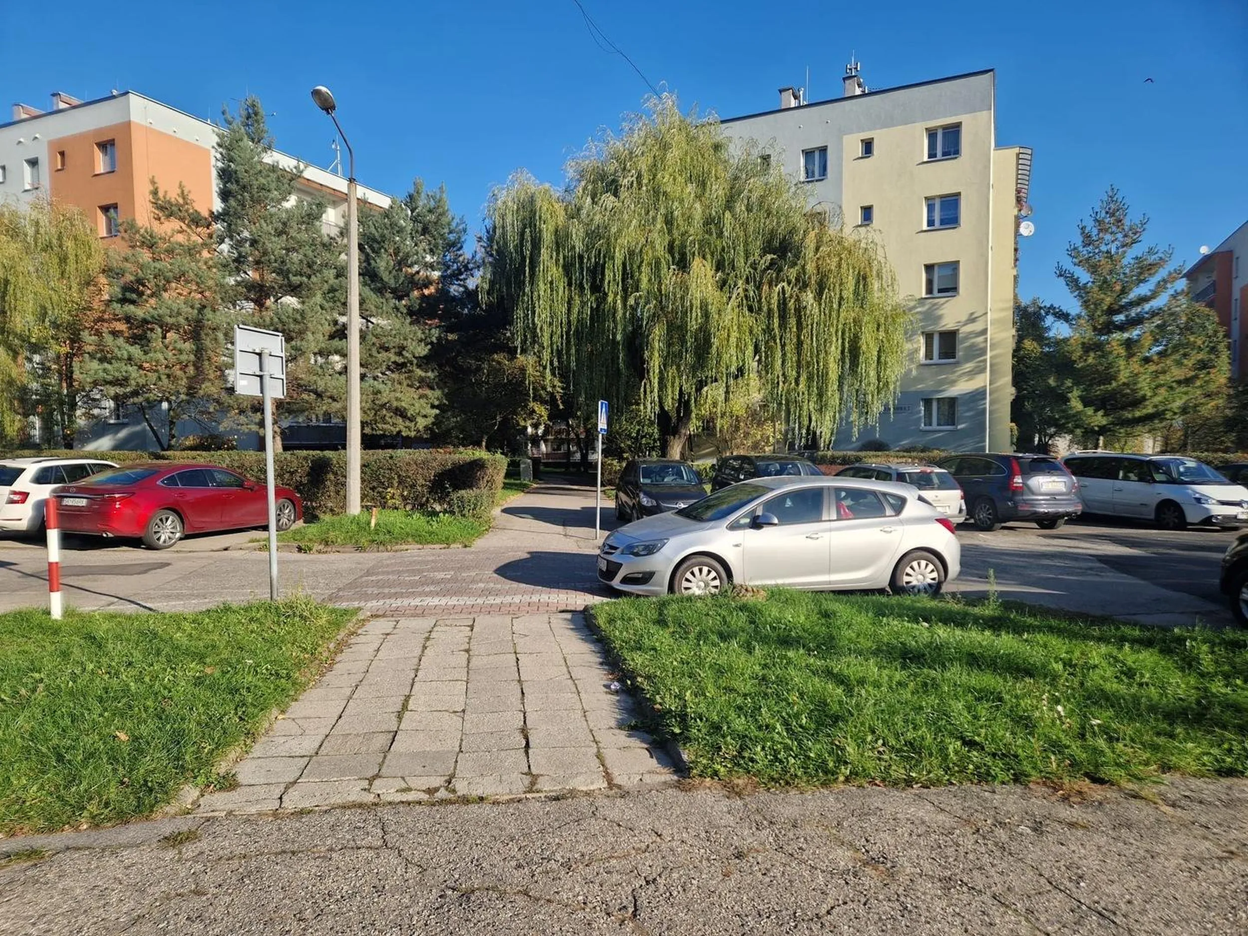 Gwiazda albo gwiazdor zaparkował auto bezpośrednio przed przejściem dla pieszych obok szkoły. Kto jej/mu dał prawo jazdy? Chyba w chipsach znalazł/a!