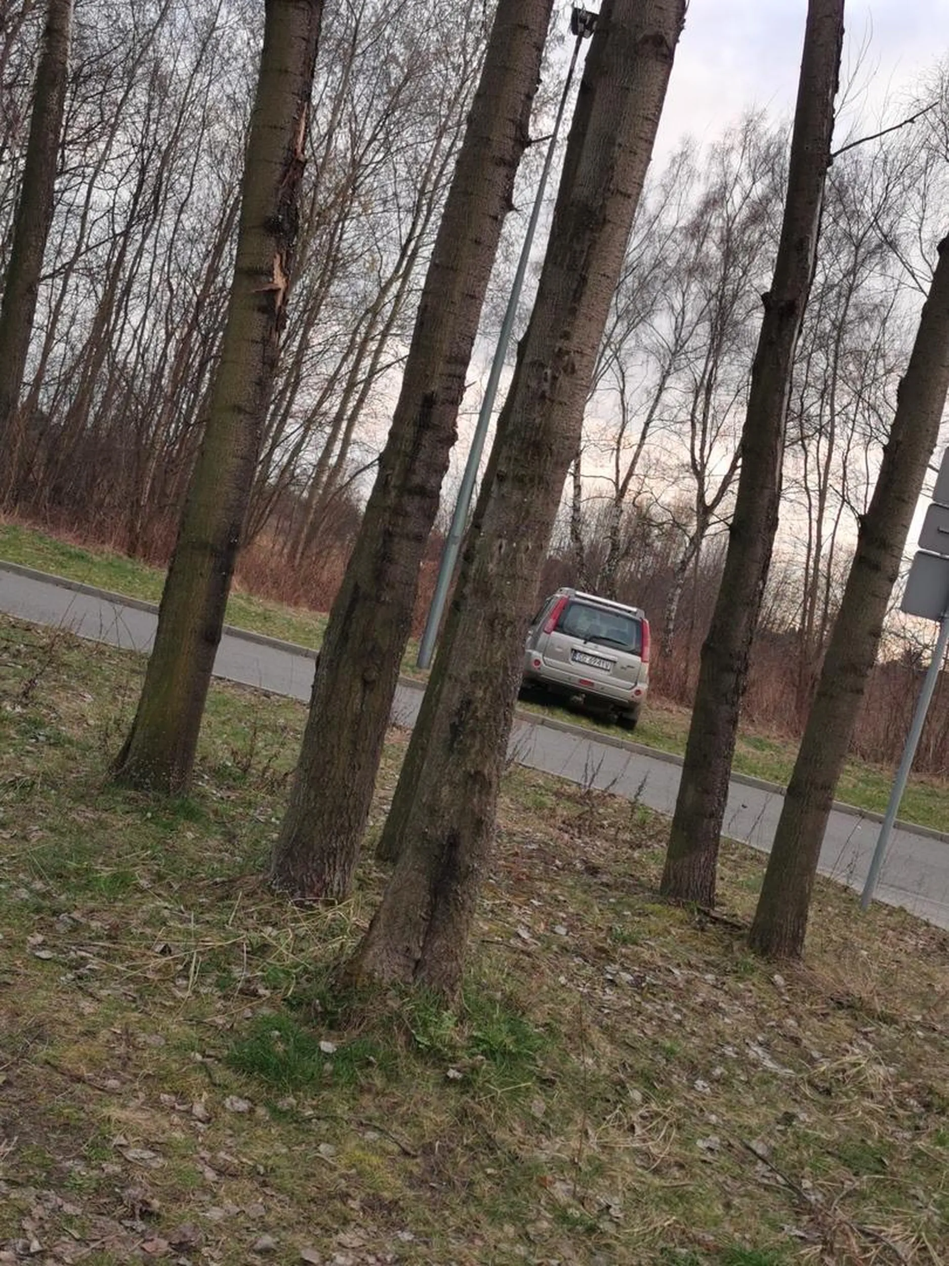 PANICZ ZAJECHAŁ WIĘC PARKUJE GDZIE CHCE!