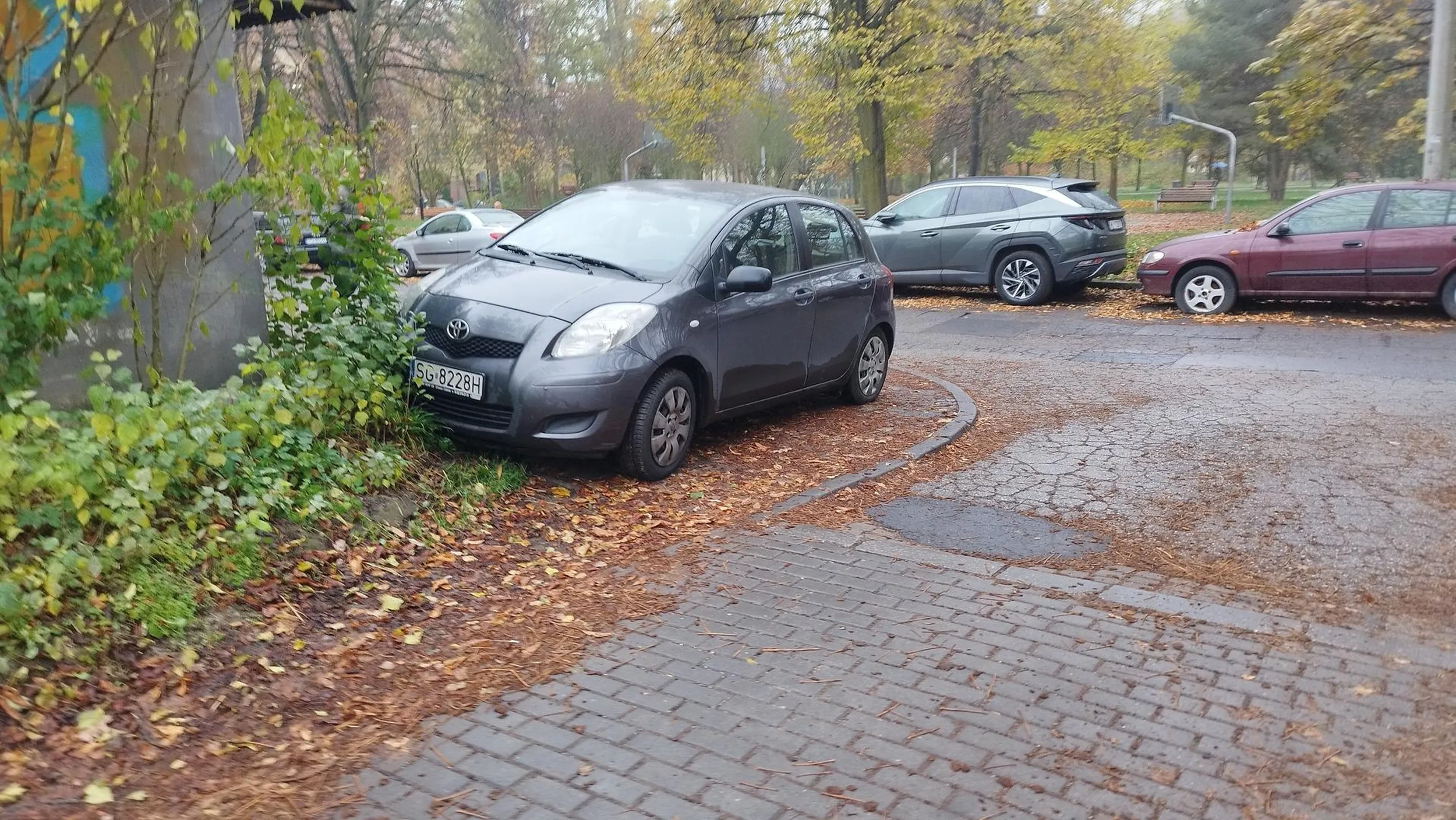 Blokuje chodnik i utrudnia wyjazd z podwórek większym pojazdom, typu śmieciarka.