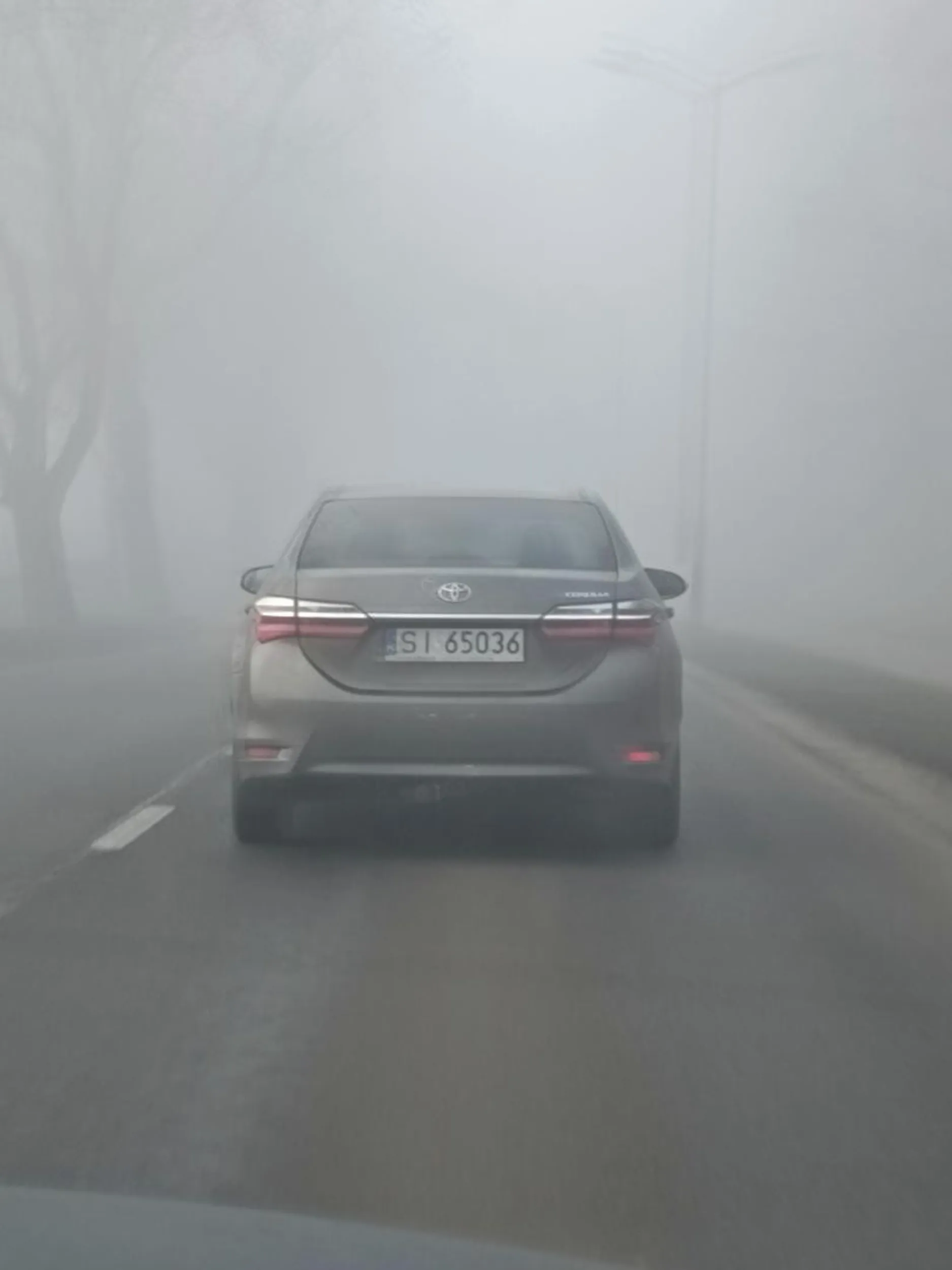 Widoczność poniżej 50 metrów ( mocna mgła) pirat jeździ na światłach dziennych, tył nie oświetlony