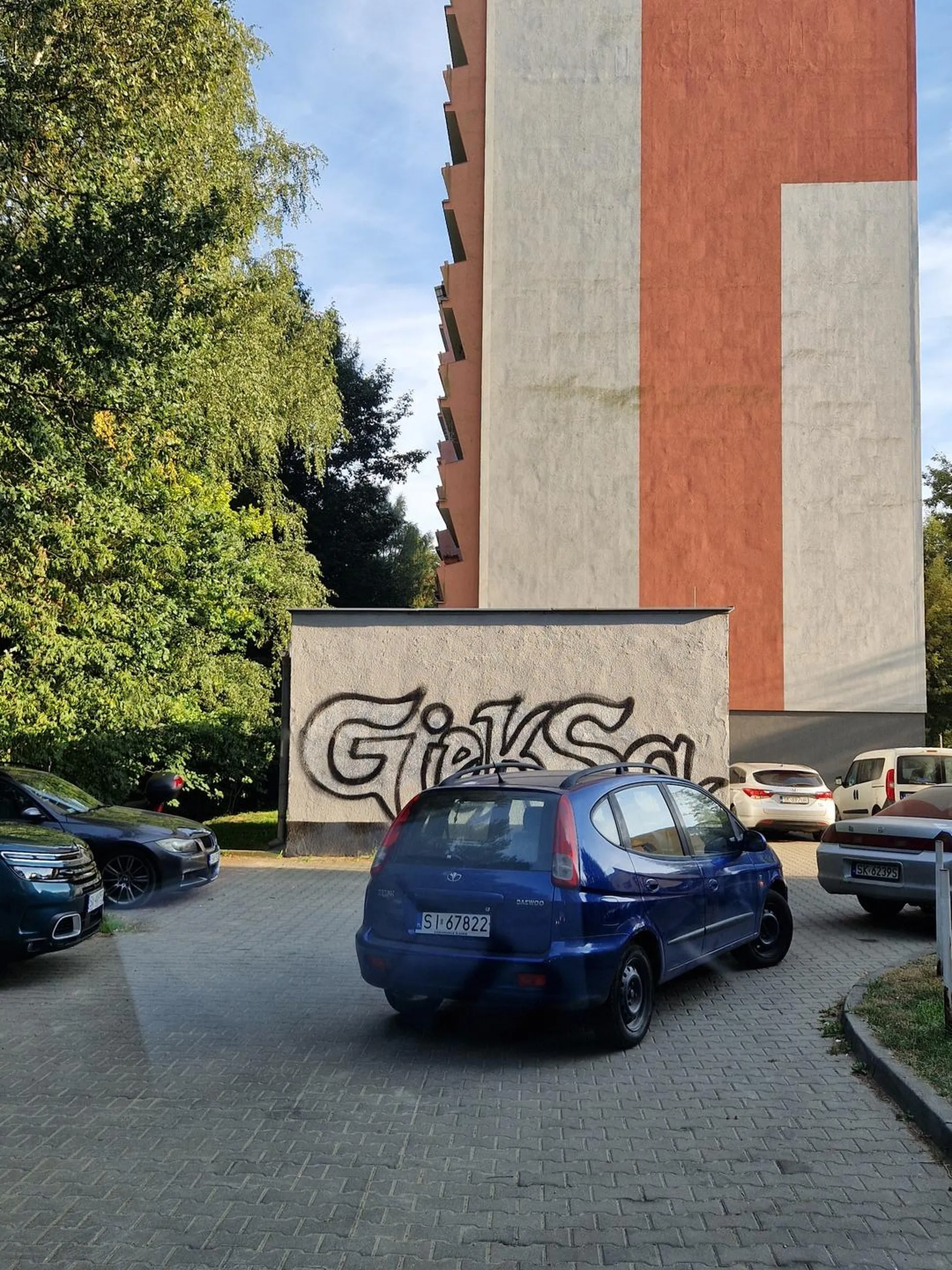 Mistrz parkowania. Przejazdu nie ma