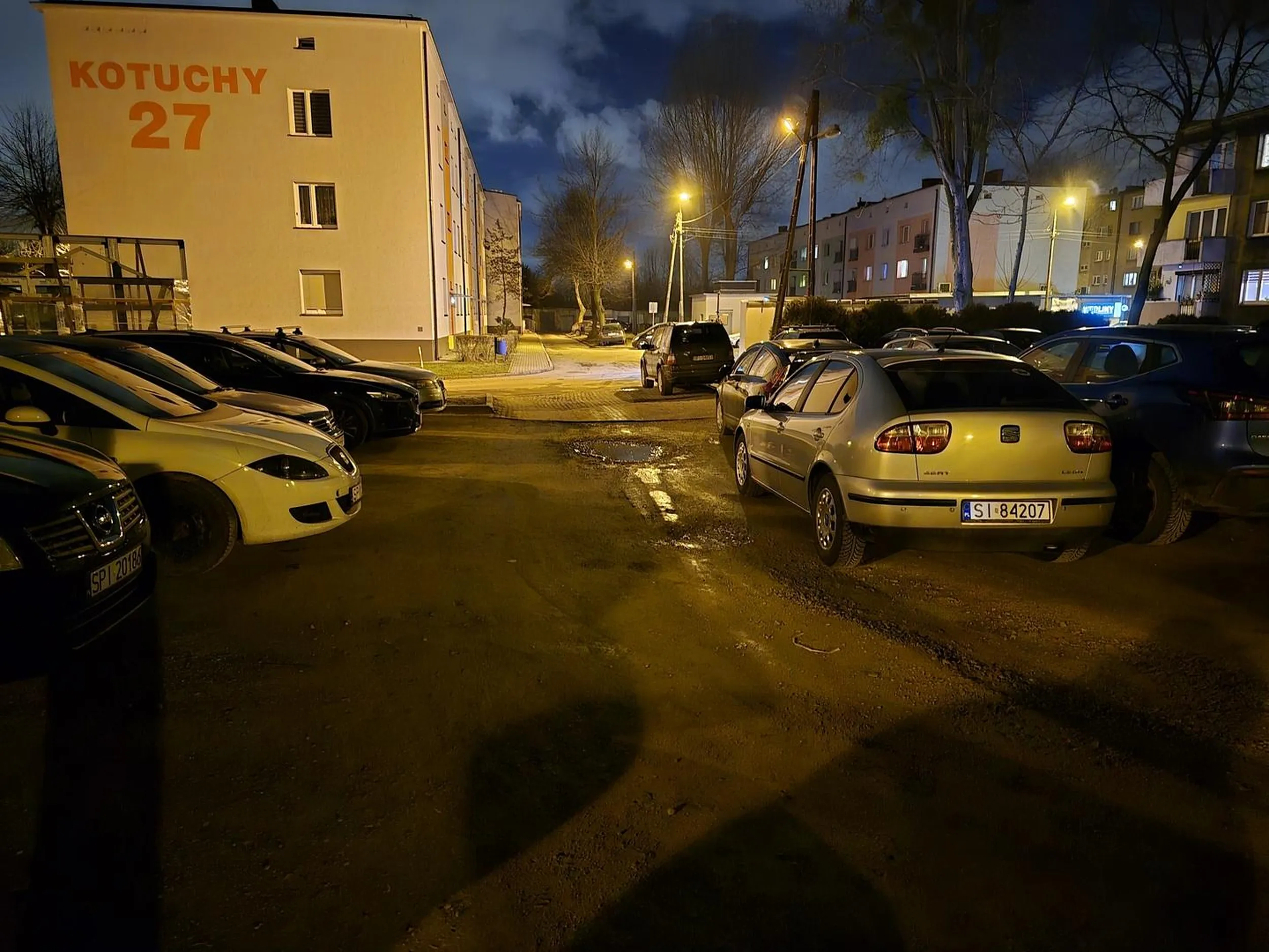 Mistrz parkowania...