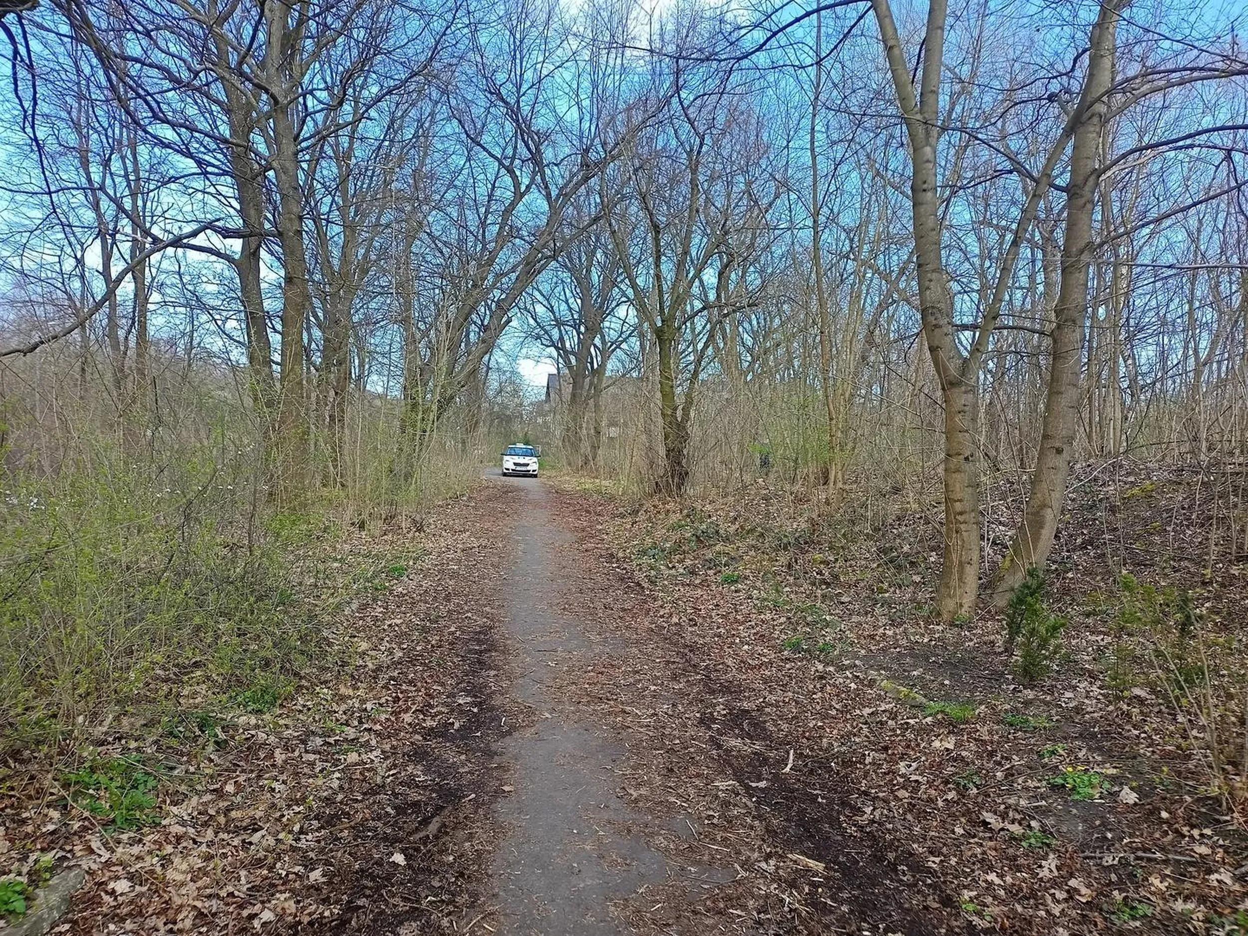 Wjeżdża do lasku i sra w krzakach