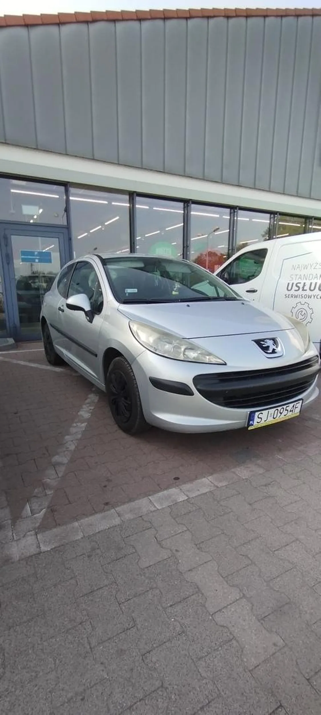 Pani z peugeota chyba nie umie czytać. Parkowanie na zakazie oraz brak pobranego biletu