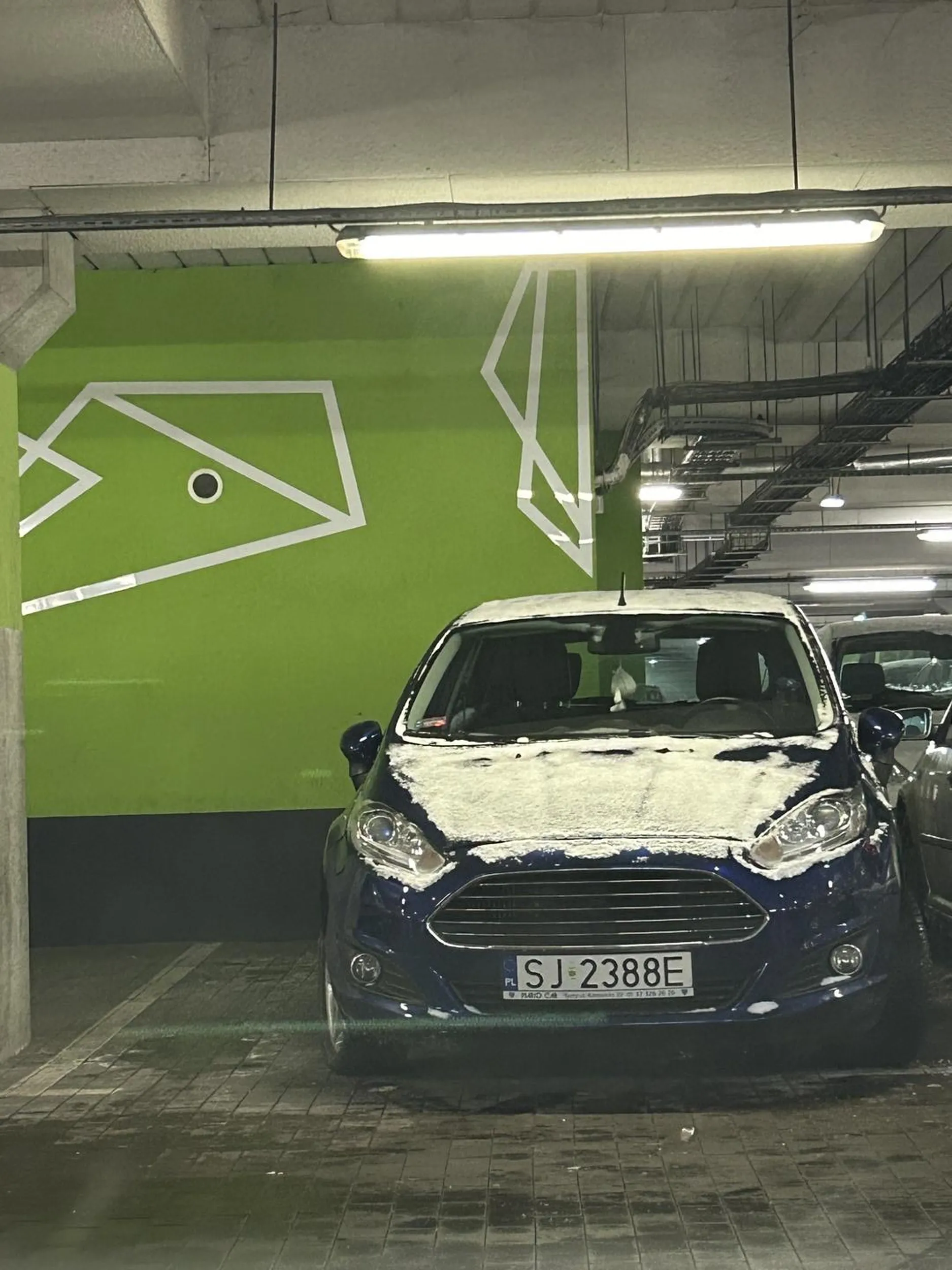 Naucz się parkować