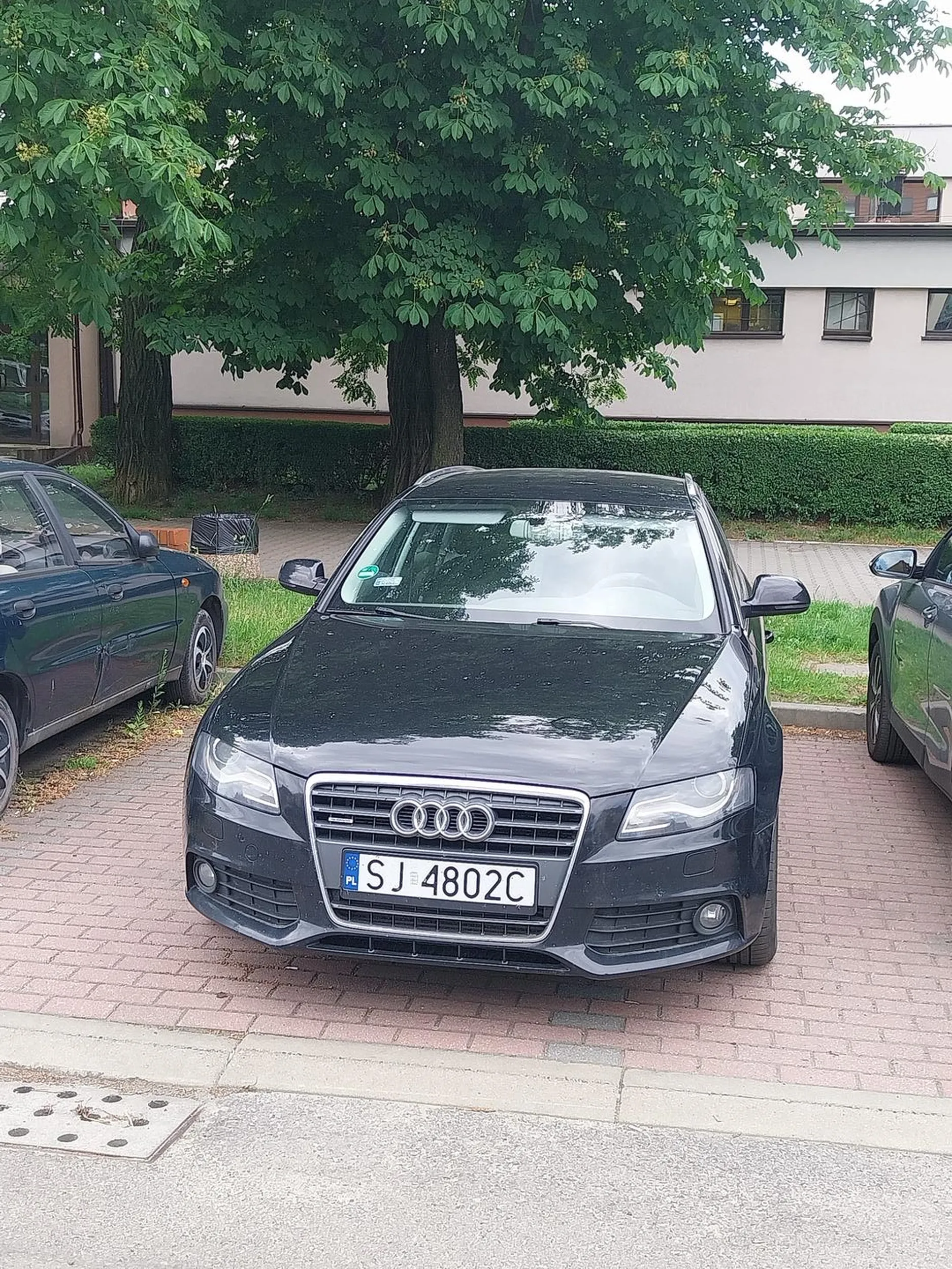 Widać jak kierowca umie odróżnić linie oddzielającą miejsca parkingowe. Cztery kółka upoważniają do stawania jak się chce