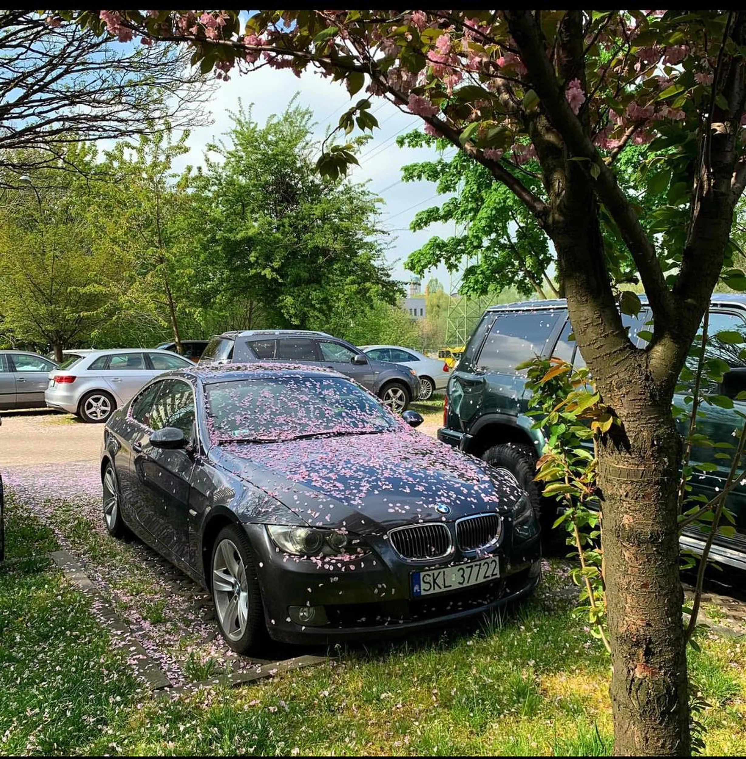 Mateusz Gibbs najlepszy. Najlepszy jesteś w Polsce w tym co robisz