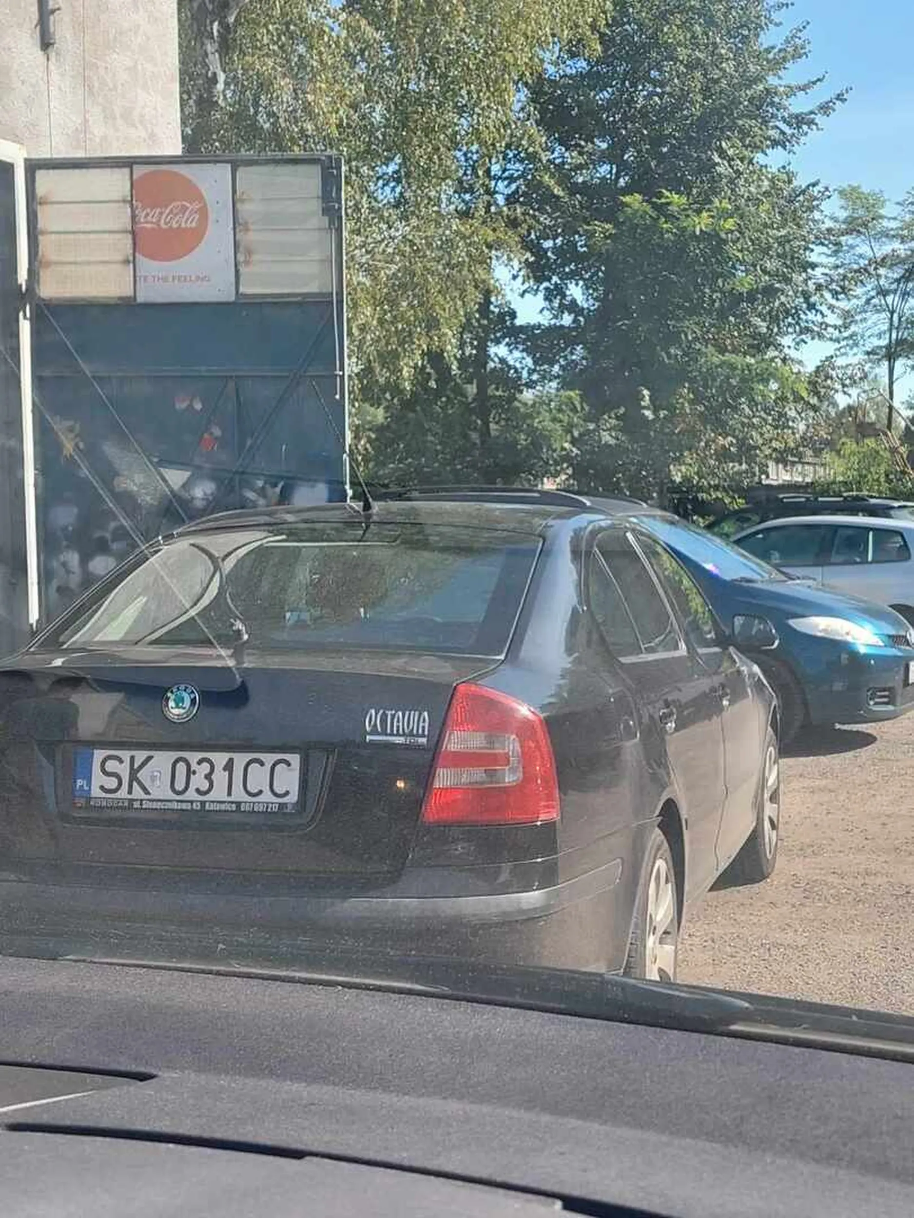 Pirat drogowy na osiedlu rozjechał kota uciekajac z miejsca zdarzenia, po pościgu Pan się wyparł, dopiero po poinformowaniu że wszystko nagrało się na kamerze Pan wrócił na miejsce zdrzenia.