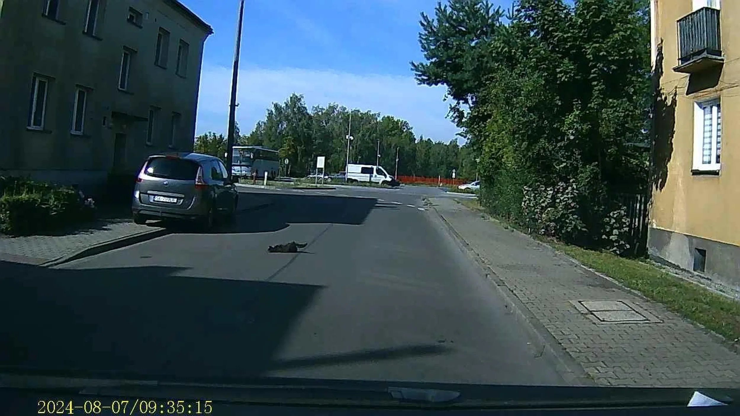 Pirat drogowy na osiedlu rozjechał kota uciekajac z miejsca zdarzenia, po pościgu Pan się wyparł, dopiero po poinformowaniu że wszystko nagrało się na kamerze Pan wrócił na miejsce zdrzenia.