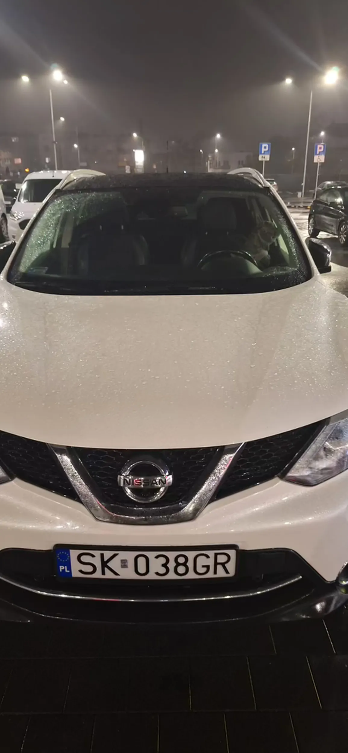 Zostawil psa w aucie skandal