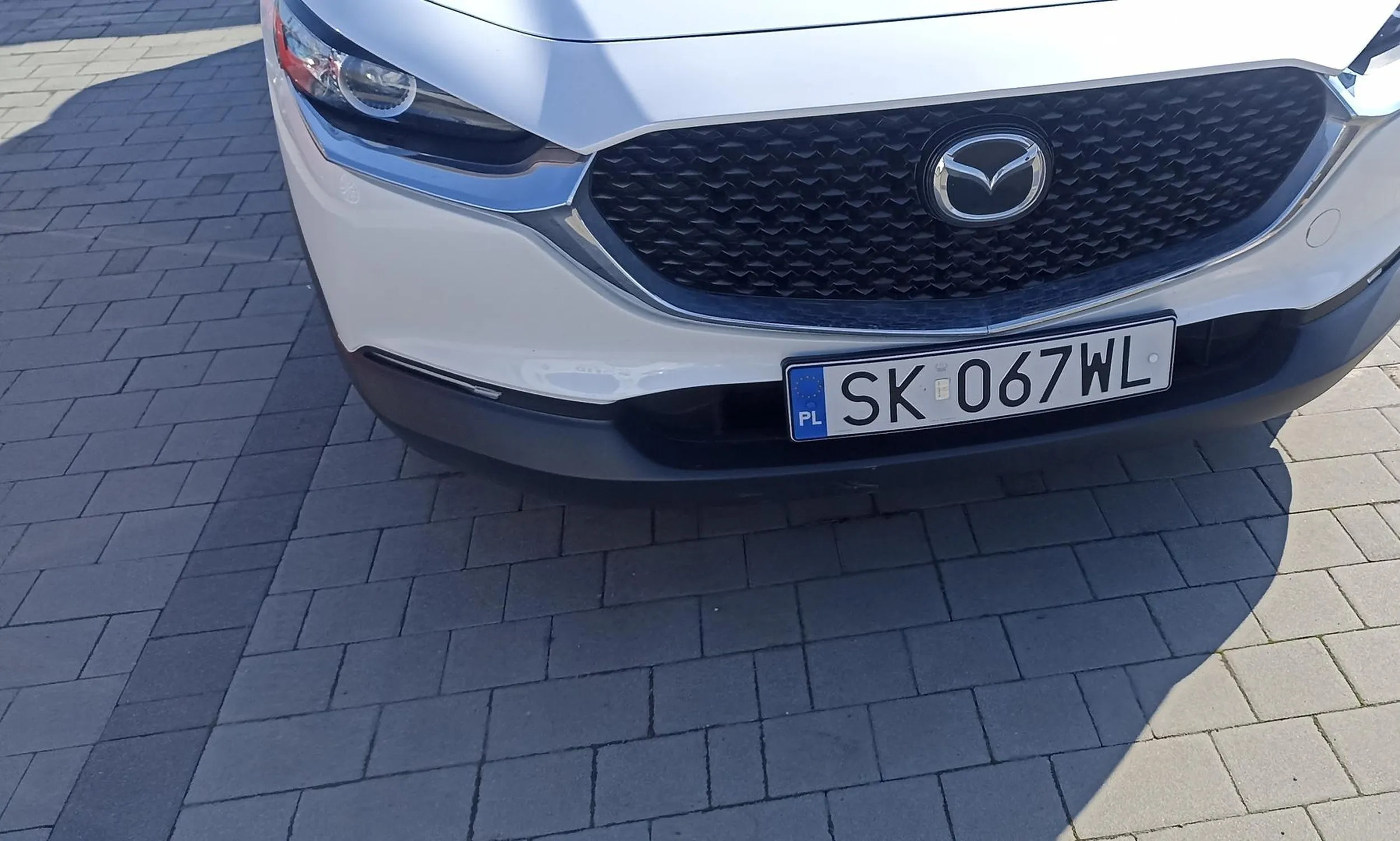 Uwaga na idiotów małą nie poprzyjeżdżali ludzi na przejściu Tleniona blondyna próbuje udawać szeryfa a jej przydupas adwokata