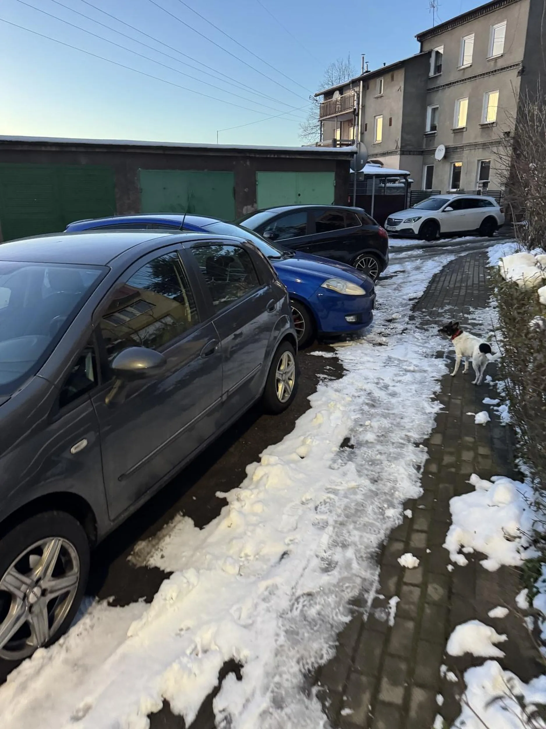 Kretyn razem z kolegą nie potrafią parkować, zastawiają inne samochody i wjazd kilku garaży