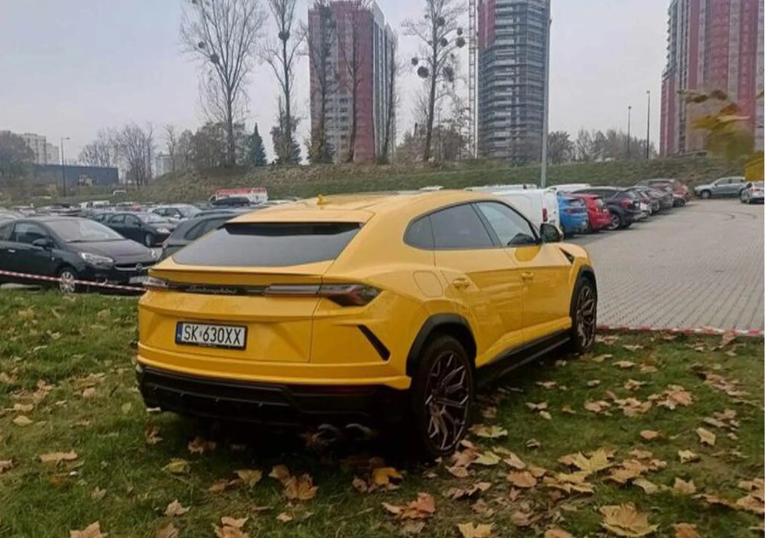 Nie pierwszy raz Cię widziałem na mieście, Gagatku! Pewnie stać Cię na parkowanie na zieleni mając takie Lambo i nic do tej pustej głowy nie przemówi, że niszczysz trawniki.