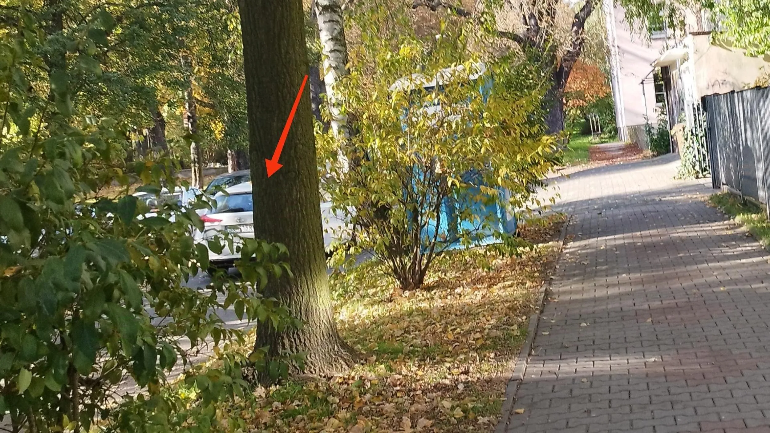 Gliwice, Durne babsko wjeżdża w Długosza pod prąd, stoi znak B2, a wcześniej zakazy skrętu.