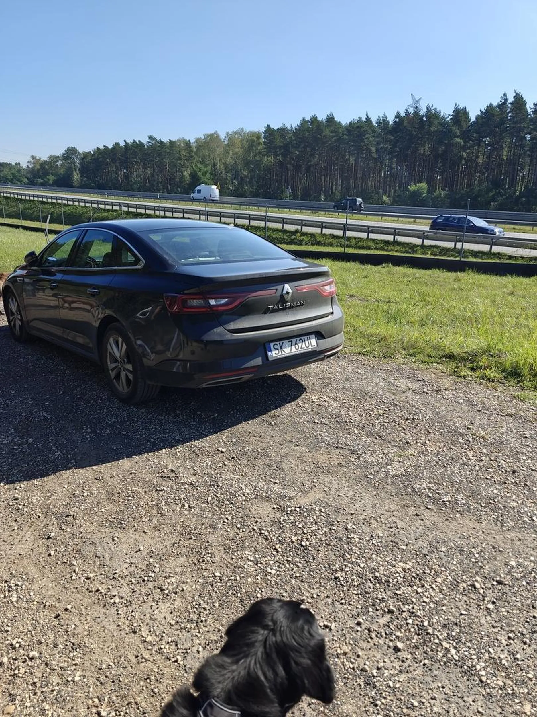kierowca jadąc na drodze leśnej wjechał w grupę spacerowiczów - kilka osób zostało uderzonych lusterkiem - brak reakcji ze strony kierowcy - agresywnie uciekł. Samochód znaleziony z drugiej strony lasu bez kierowcy.