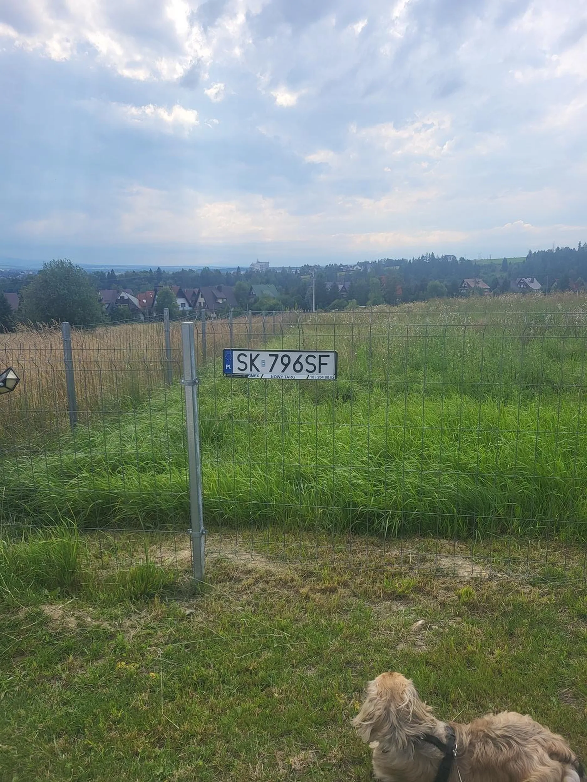 Zgubiłeś rejestrację w nowym Targu na ulicy widok pozdro