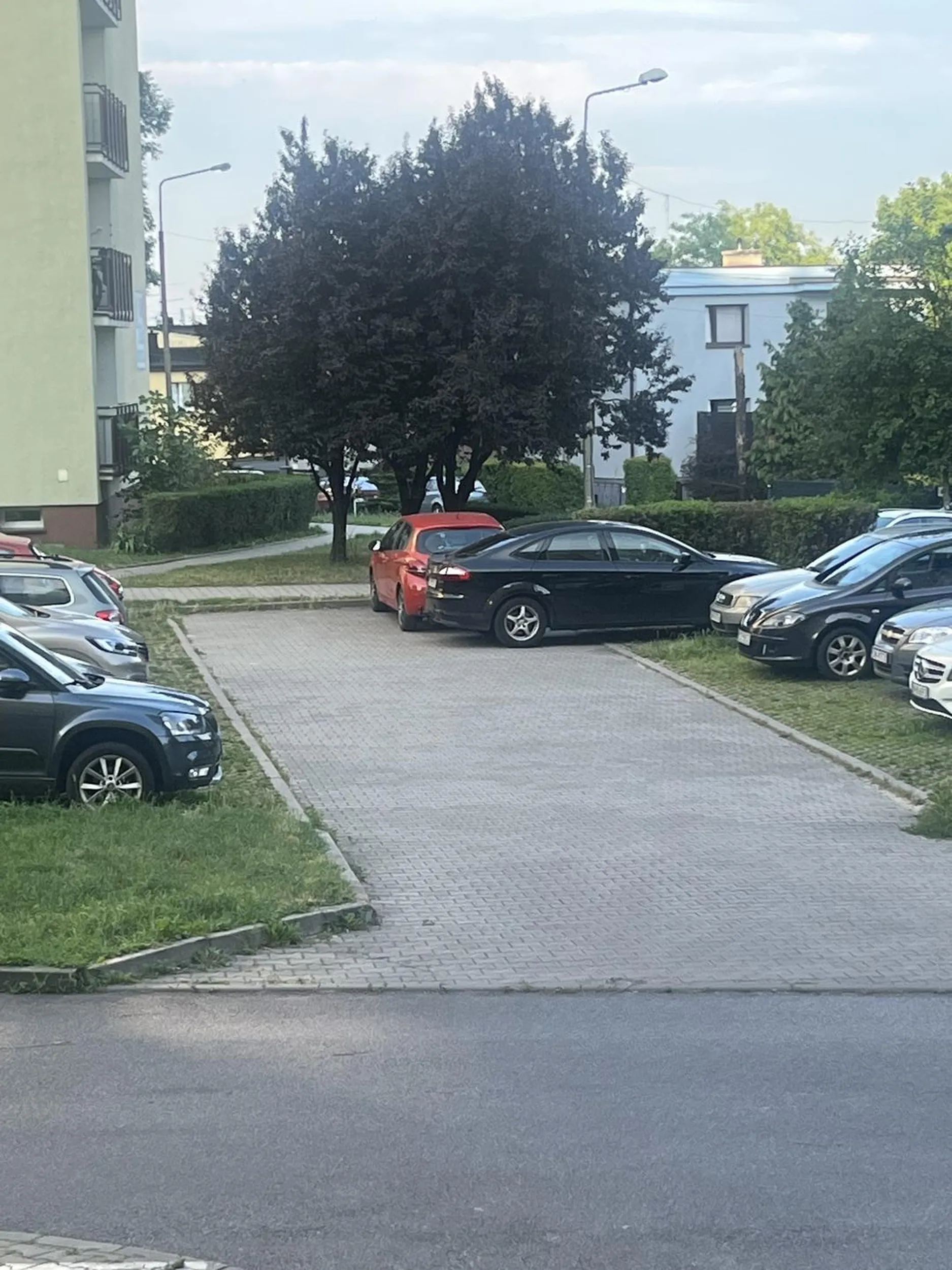 Ciekawe co autor miał na myśli tak parkując?