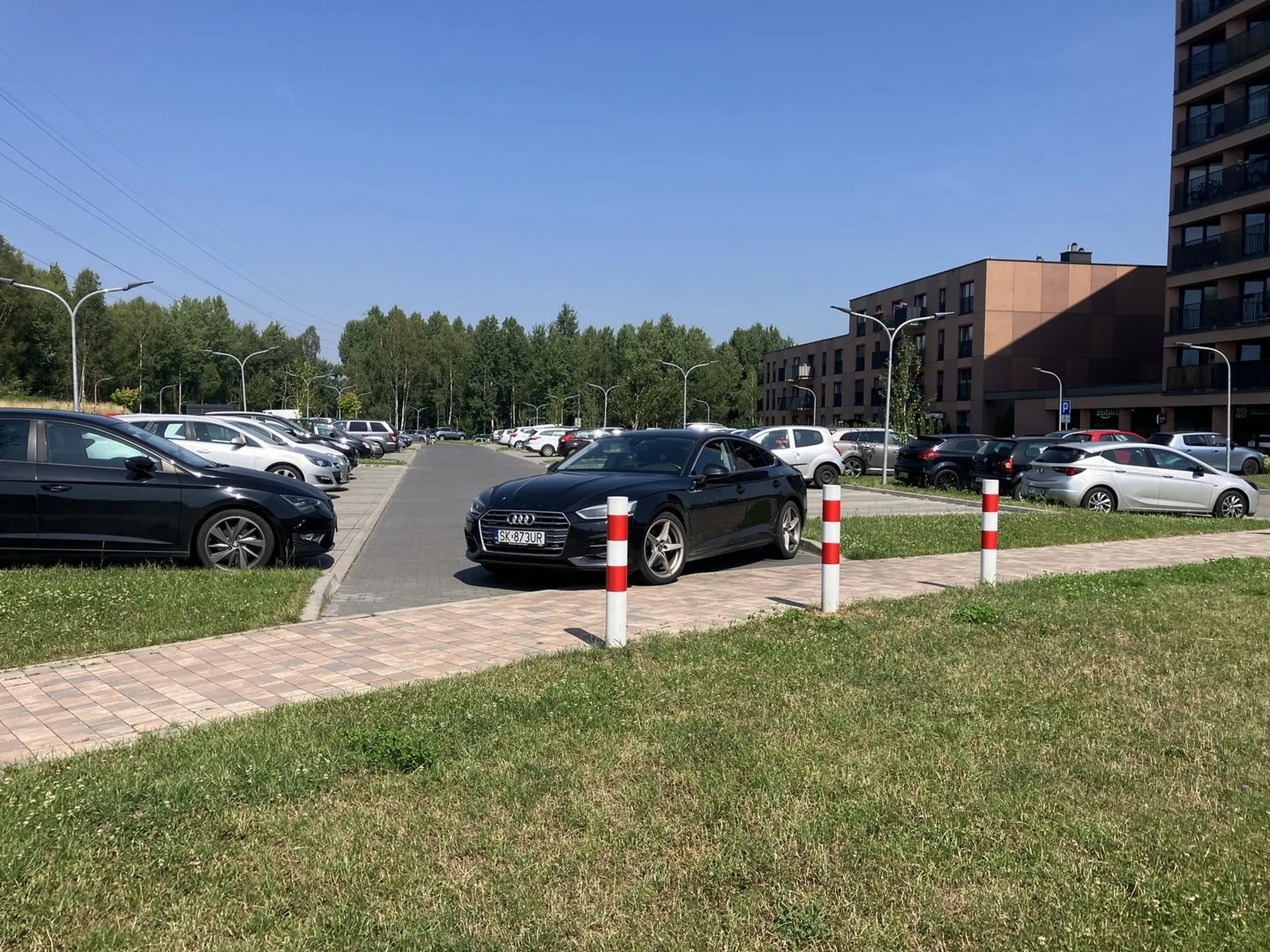 Zostawia samochód na chodniku poza wyznaczonymi miejscami w strefie zamieszkania. Utrudnia wyjazd z parkingu prawidłowo zaparkowanym pojazdom. Wiesniactwo.